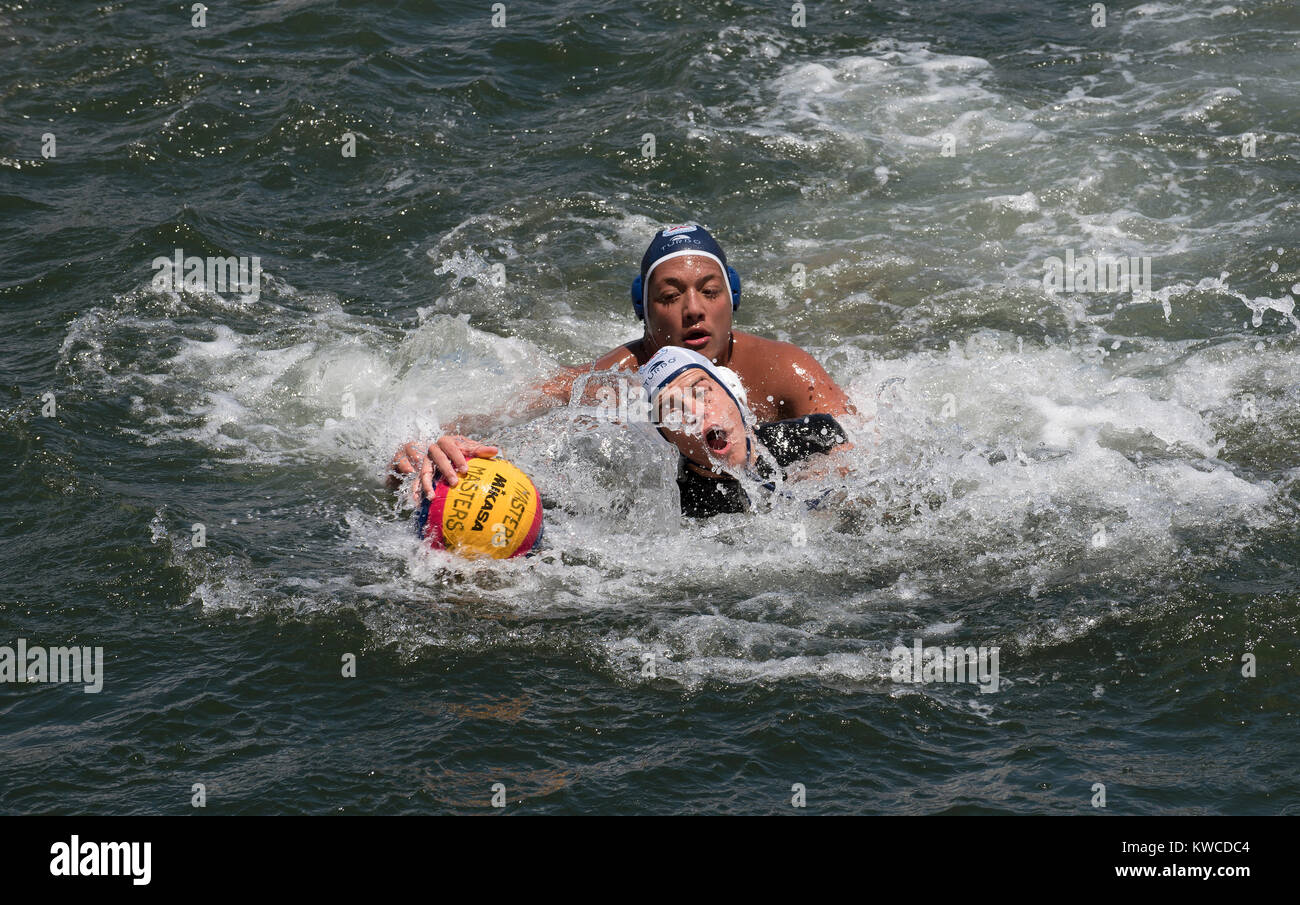 Water polo match on Cape Town Harbour, Western Cape, South Africa