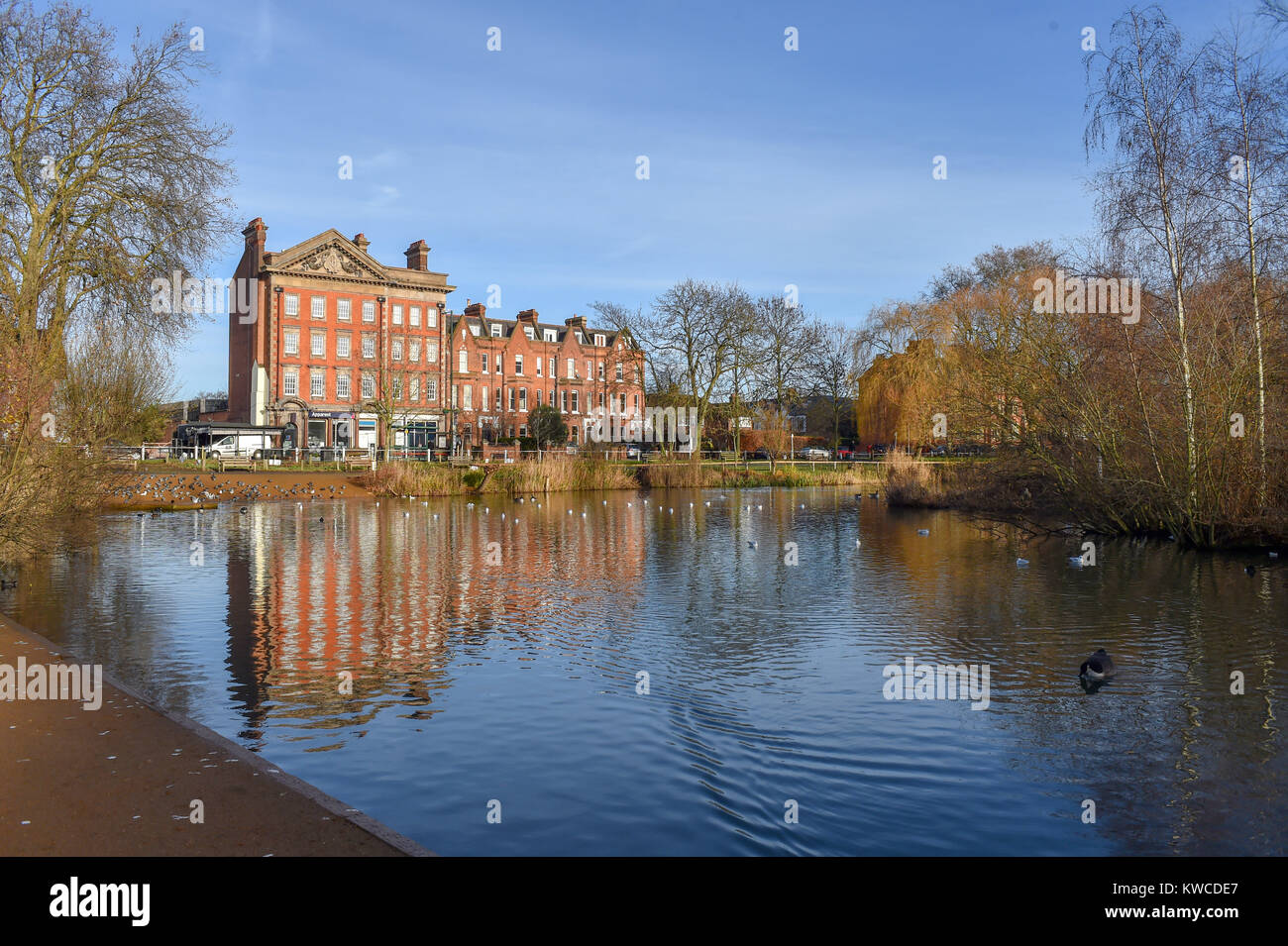 Barnes Green pond in South West London UK Stock Photo