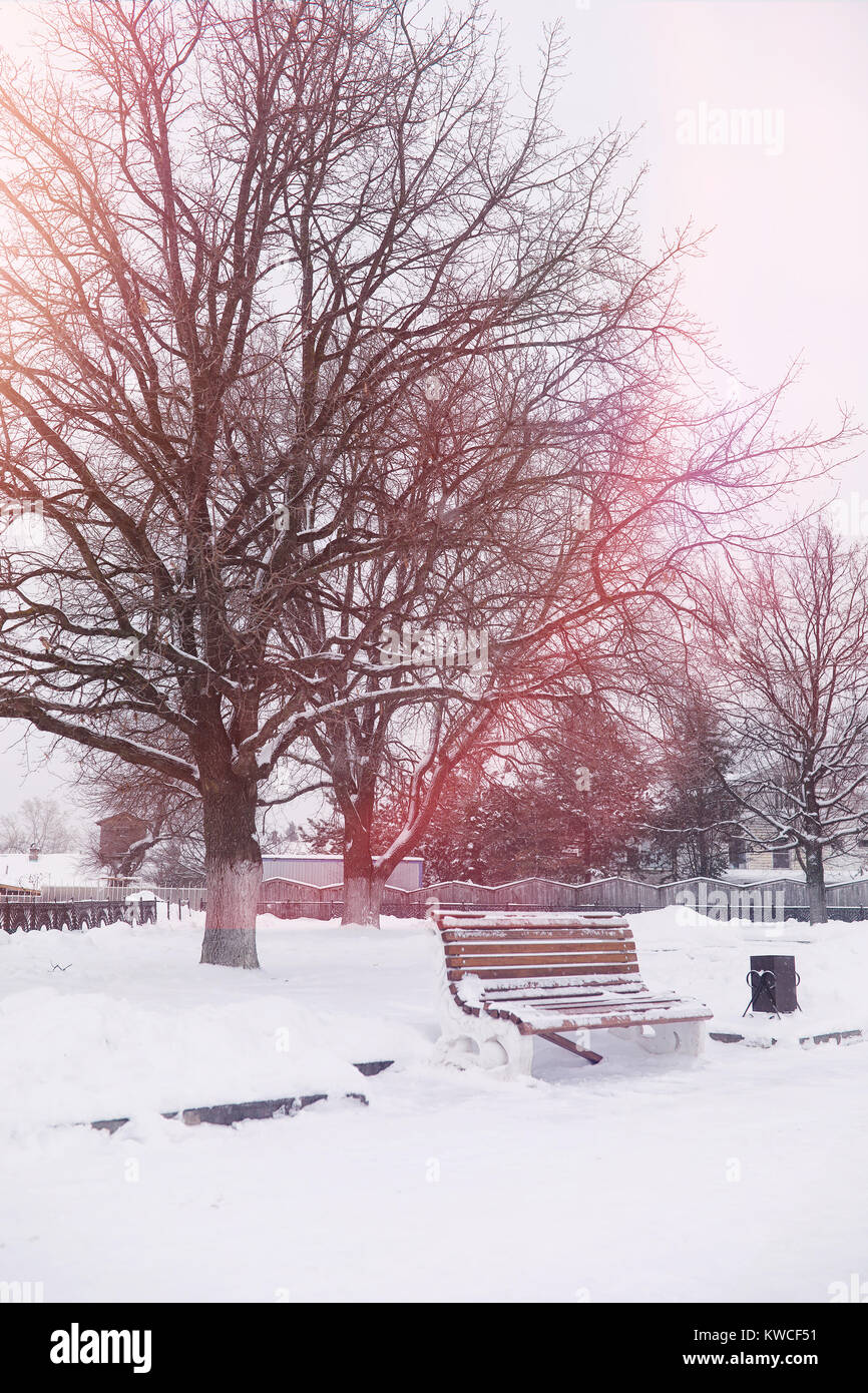 Winter city landscape. Winter park covered with snow. A bench under a ...