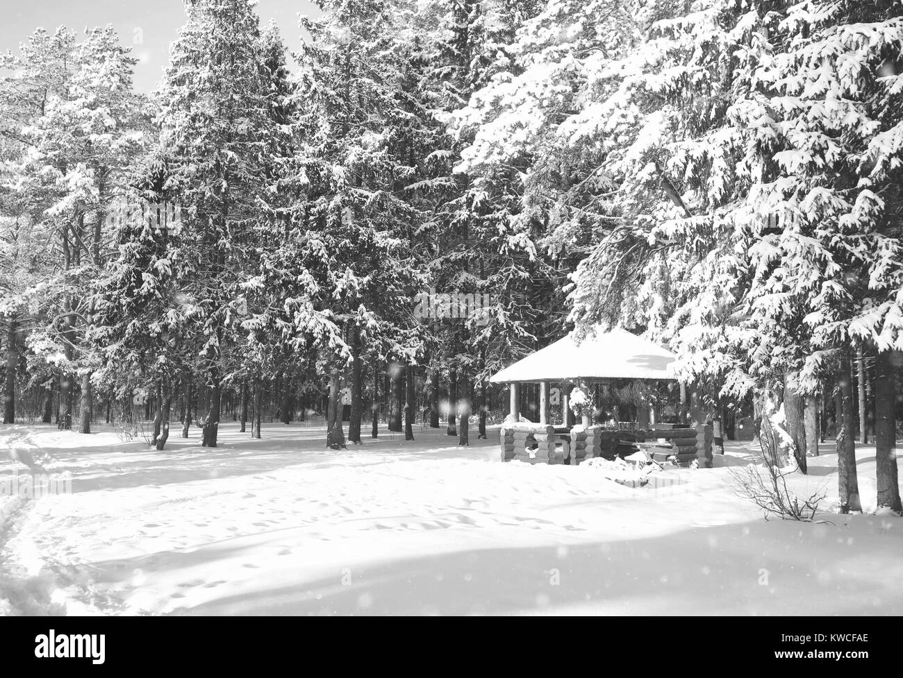 wooden gazebo in the forest in winter sunny day Stock Photo - Alamy