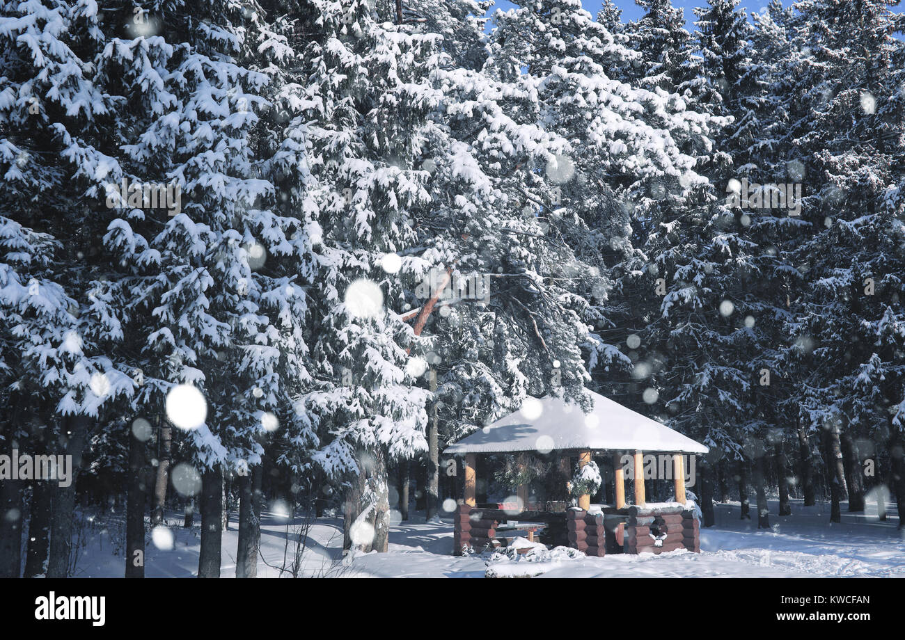 wooden gazebo in the forest in winter sunny day Stock Photo - Alamy