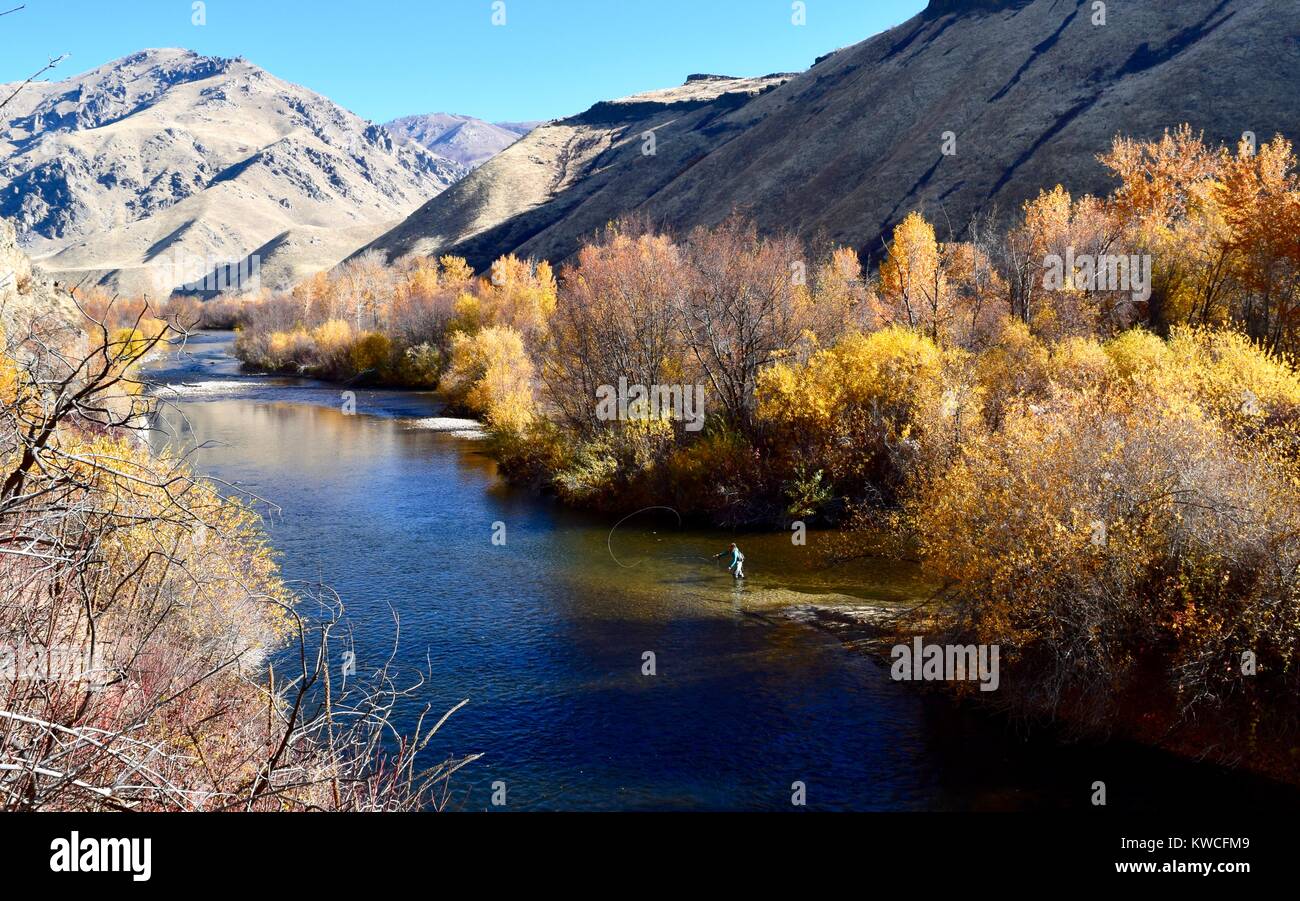 Idaho Women Fly Fishing Stock Photo