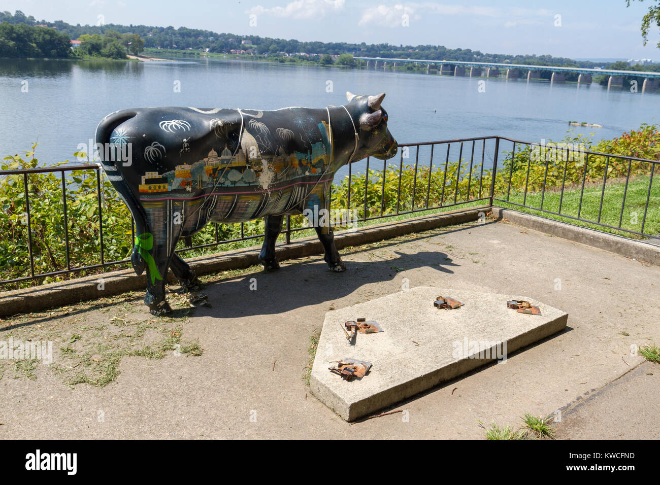 A displaced cow model ('The 'burg Celebrates'), part of the CowParade Harrisburg project, on the edge of Susquehanna River, Harrisburg, PA, USA. Stock Photo