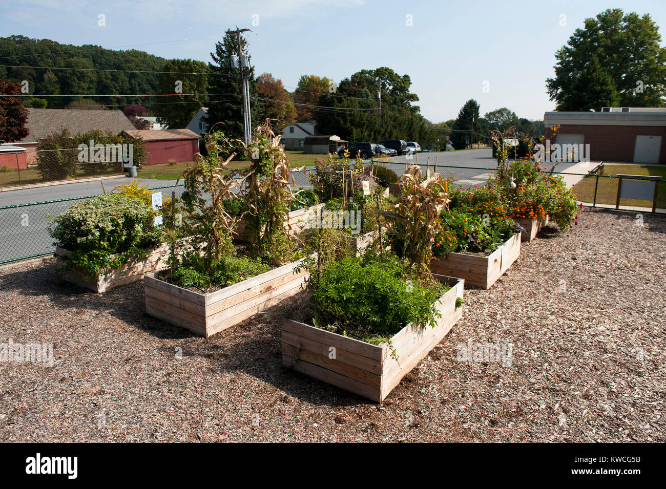 School gardens hires stock photography and images Alamy