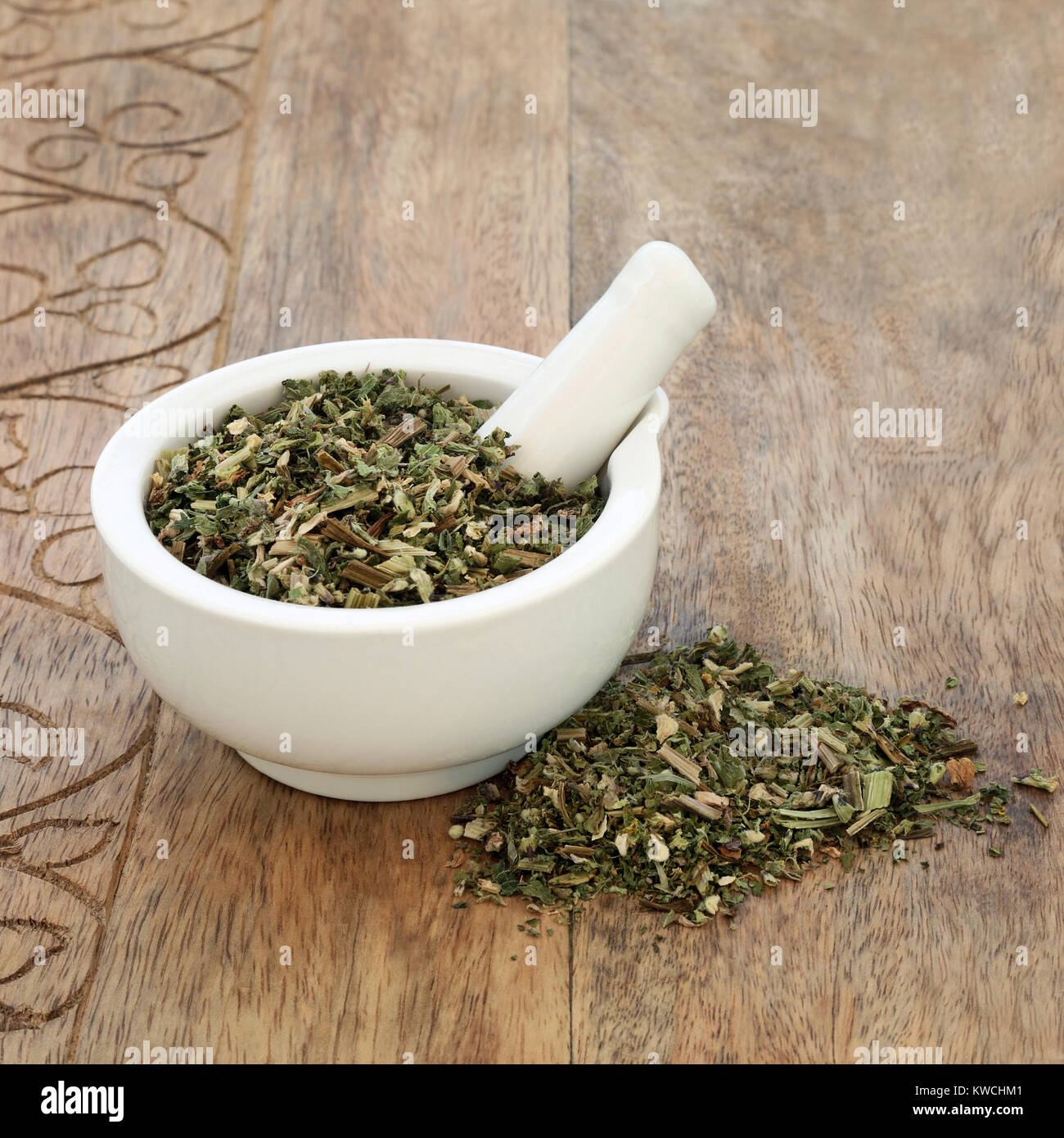 Silver nettle vine hires stock photography and images Alamy