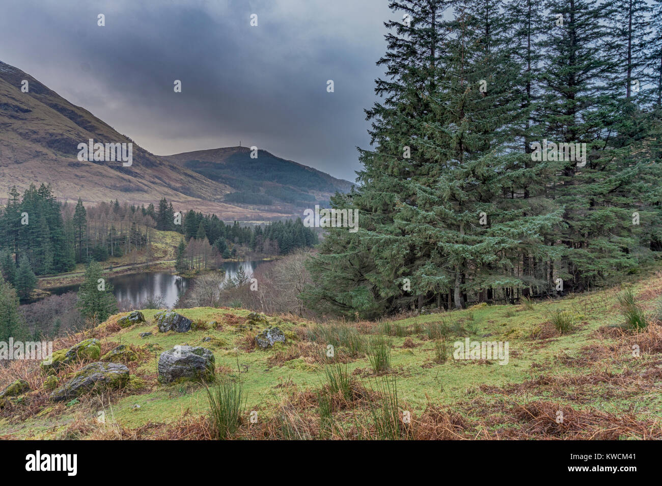 Overlooking Torren Lochan from the lower slopes of Sgorr nam Fiannaidh in Glen Coe. Stock Photo