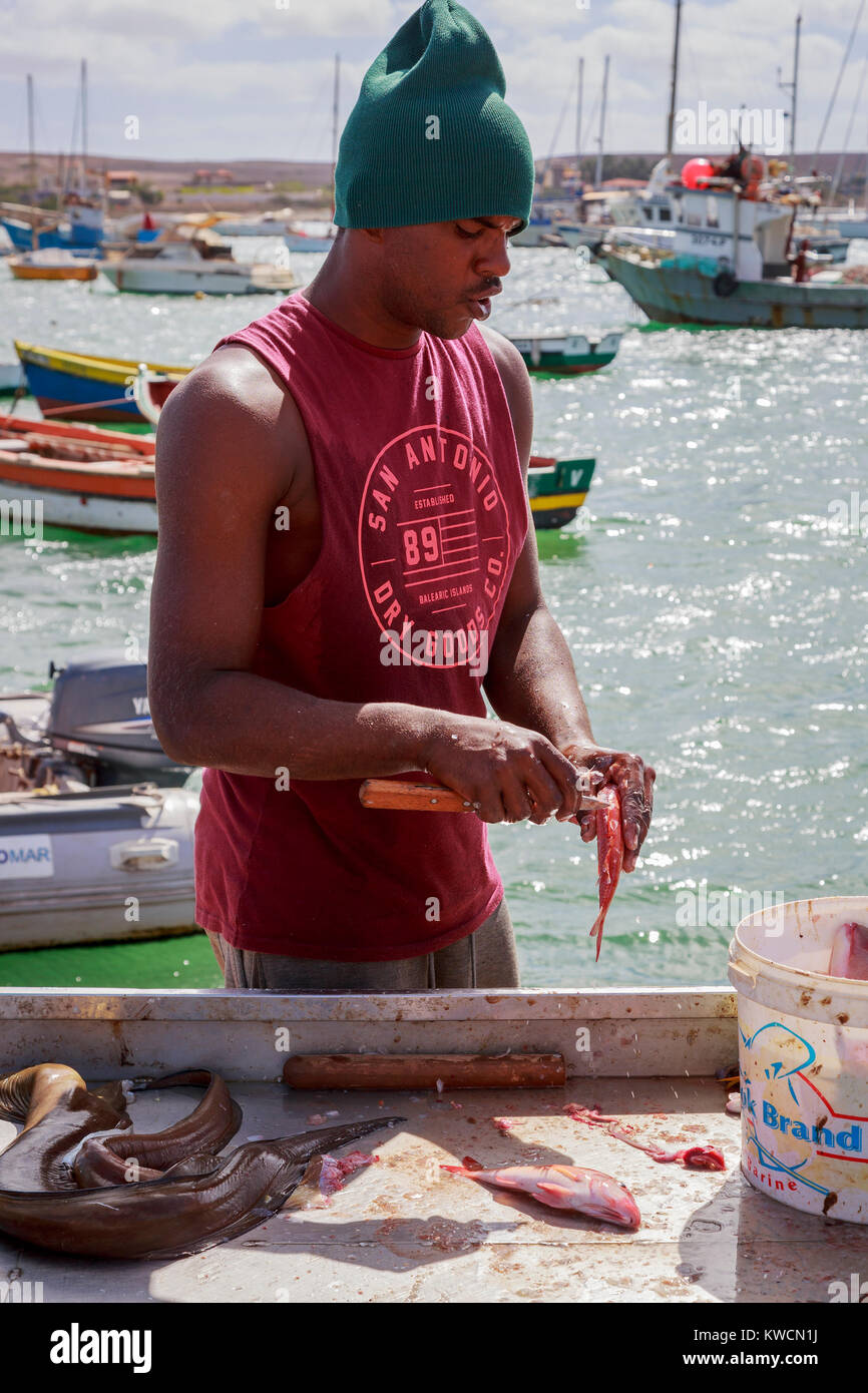 Local fisherman gutting and cleaning a freshly caught fish, at Palmeira ...
