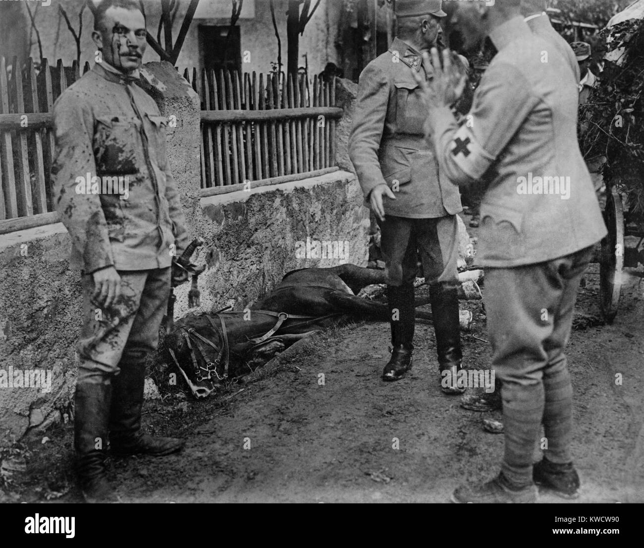 World War 1. Austrian officer wounded while on patrol in the Isonzo battle front. His head wound is attended by a medical officer. In the near background is a dead horse. Ca. 1914-15. (BSLOC 2013 1 24) Stock Photo