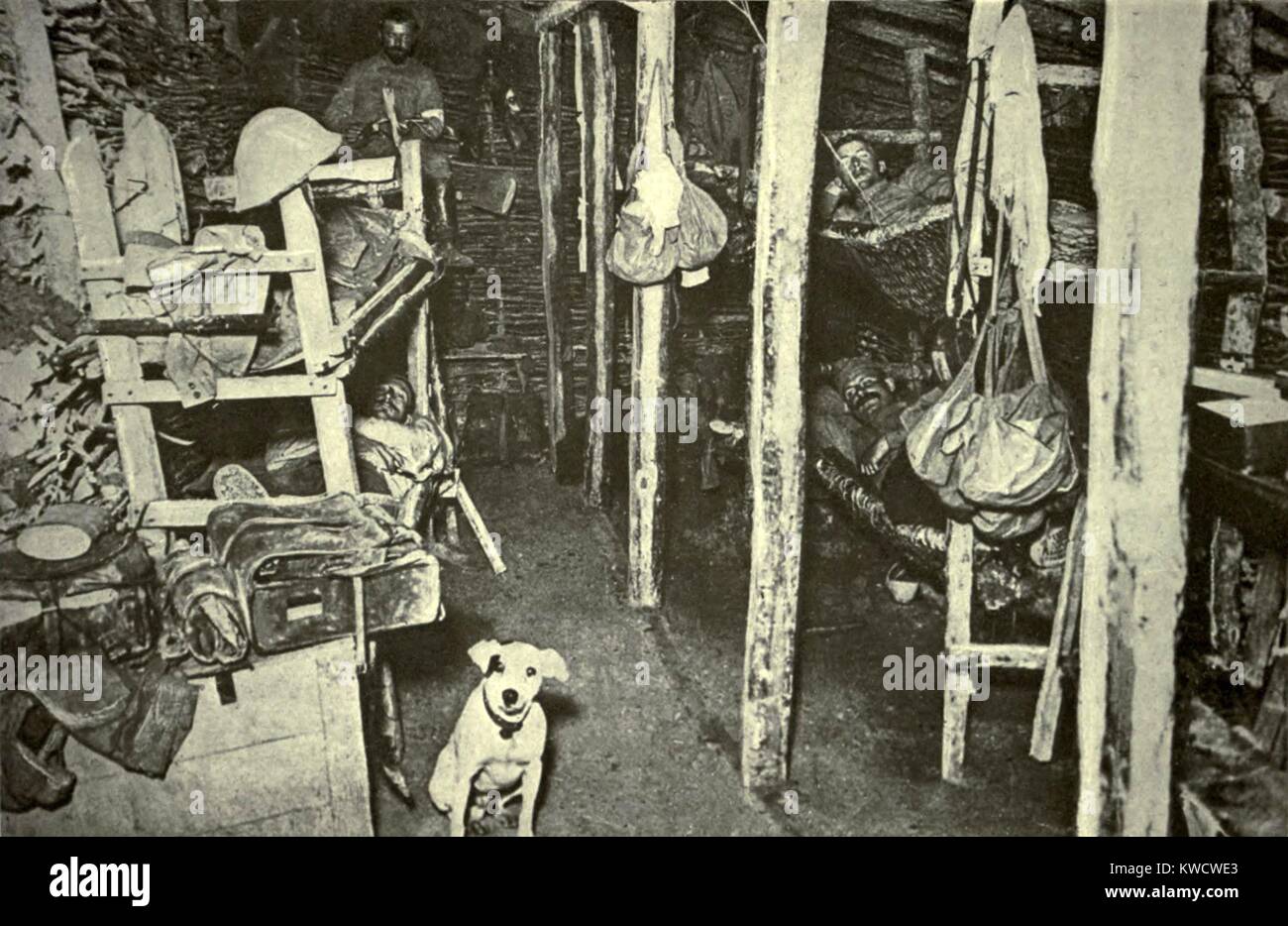 World War 1: Battle of Verdun. One of the subsurface chambers in fortified Verdun was used as a hospital. The little dog in the foreground refused to be separated from his wounded master. Ca. 1916. (BSLOC 2013 1 93) Stock Photo