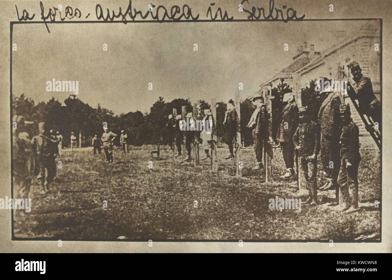Serbs being executed by hanging in Krusevac by Austrian soldiers during WW1. At right, Austrian soldiers smile for the camera that photographer this Italian postcard (BSLOC 2017 1 176) Stock Photo
