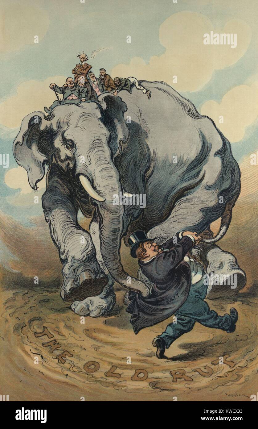 THE LEADER, a political cartoon of President Taft leading the Republican elephant in circles, creating a rut. Puck Magazine, Nov. 10, 1909. Among those riding the elephant are Speaker Joseph G. Cannon, Sen. Nelson W. Aldrich, and VP James S. Sherman (BSLOC 2017 2 123) Stock Photo