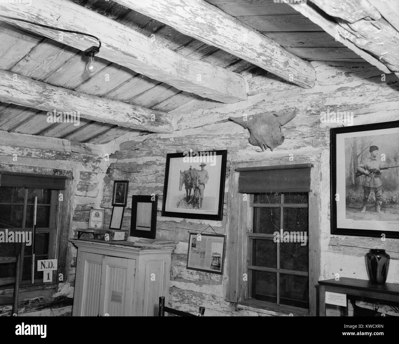 Theodore Roosevelts the cabin, where he lived near Medora, North Dakota in 1883. Photo was taken in 1952, when the cabin was in Roosevelt State Park, Bismarck, ND, where it was moved after its exhibition at the St. Louis Worlds War in 1904 (BSLOC 2017 4 12) Stock Photo