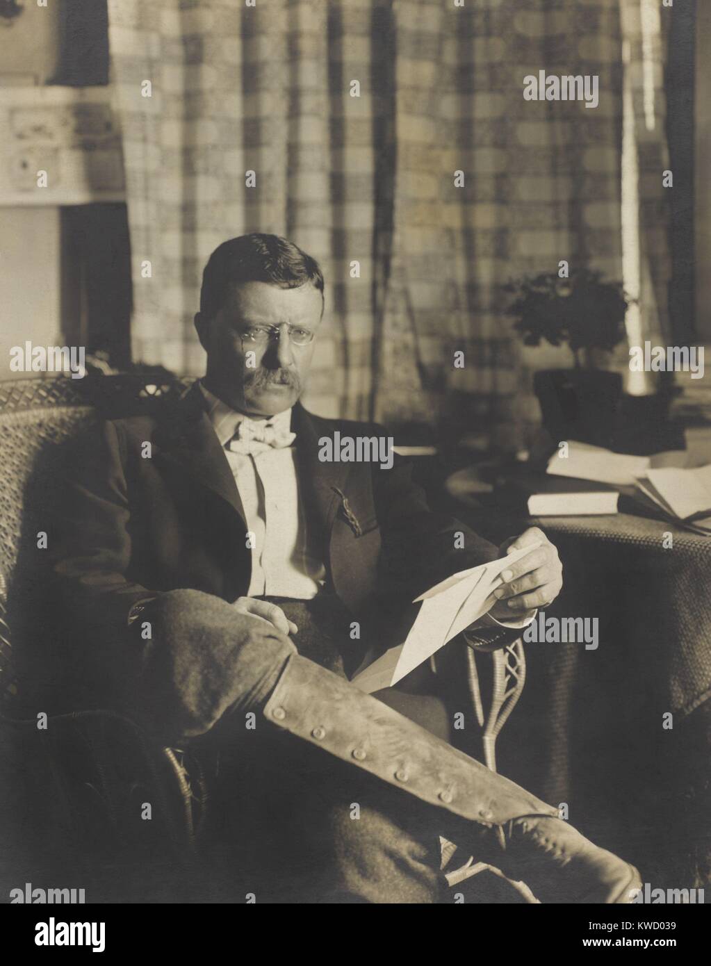Governor Theodore Roosevelt seated with correspondence at Sagamore Hill, 1900. TR is wearing hiking shoes, leather shin guards and knickerbockers in photo by Waldon Fawcett (BSLOC 2017 4 49) Stock Photo