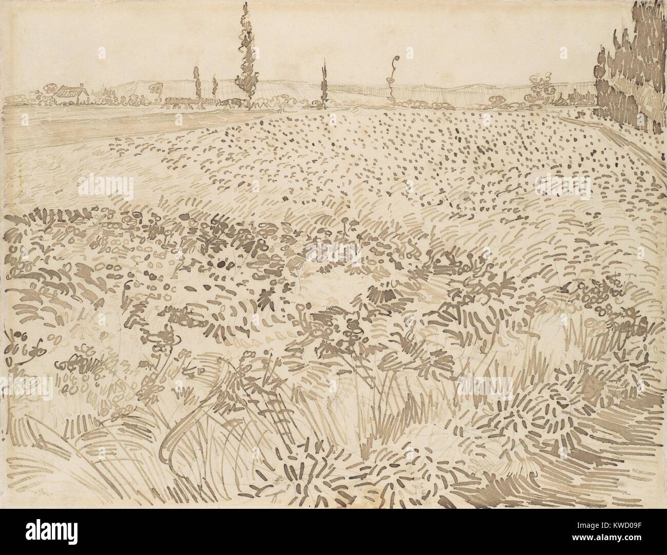 Wheat Field, by Vincent Van Gogh, 1888, Dutch Post-Impressionist reed pen over graphite drawing. The drawing marks grow smaller as the illusionistic space recedes (BSLOC 2017 5 58) Stock Photo