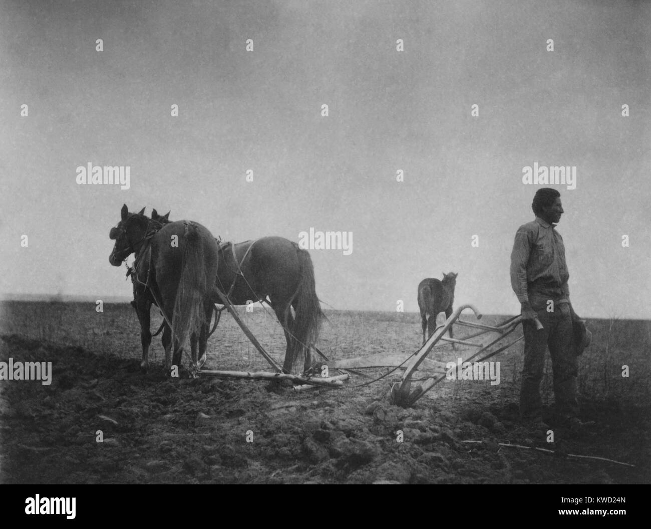 THE DAWN OF CIVILIZATION, a photo of a Native American in a field with a horse-drawn plow. C. 1899-1900. He was student at the African American college Hampton Normal and Agricultural Institute, which admitted its first Indian students in 1878. 19th century Progressives equated civilization with independent farming. Much education and government policy aimed to the convert for formerly nomadic hunters to yeoman farmers. Photo by Frances Benjamin Johnston  (BSLOC 2017 20 141) Stock Photo
