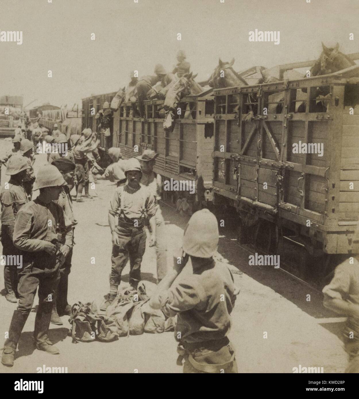 British soldiers and horses boarding a train to the battle front during the Boer War, Feb. 1900. Their first priority was relief of the besieged cities of Ladysmith, Kimberley, and Mafeking, all taken in early Boers offensives in 1899  (BSLOC 2017 20 50) Stock Photo
