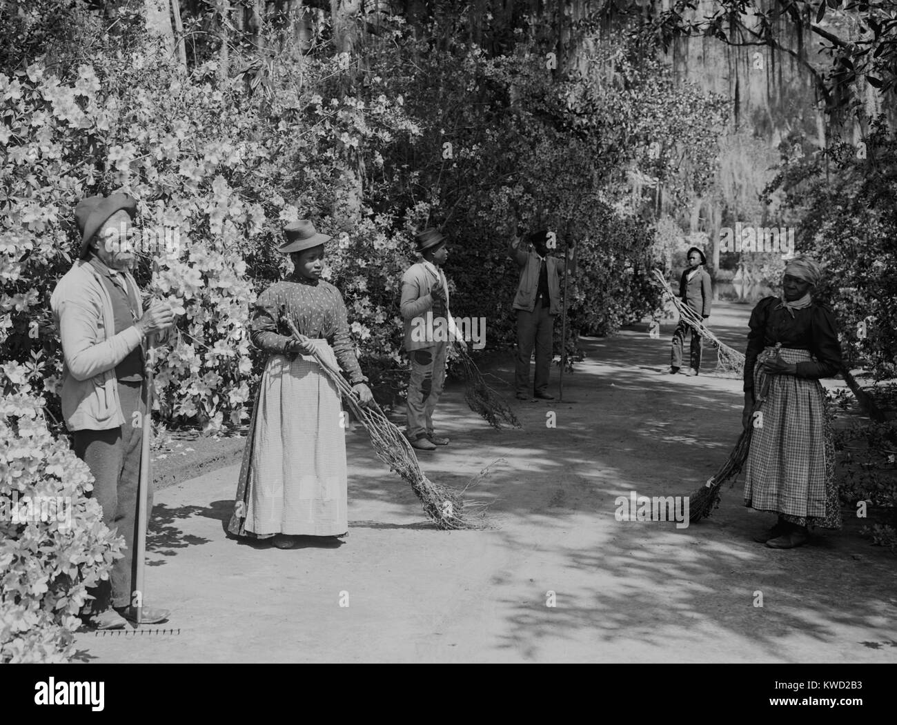 African American caretakers at the Magnolia Plantation and Gardens in Charleston, SC. The sweepers hold crude brooms made of twigs. After the Civil War, the Drayton family gardens were opened to the public to earn money as a tourist attraction. Photo by Jackson, William Henry  (BSLOC 2017 20 99) Stock Photo