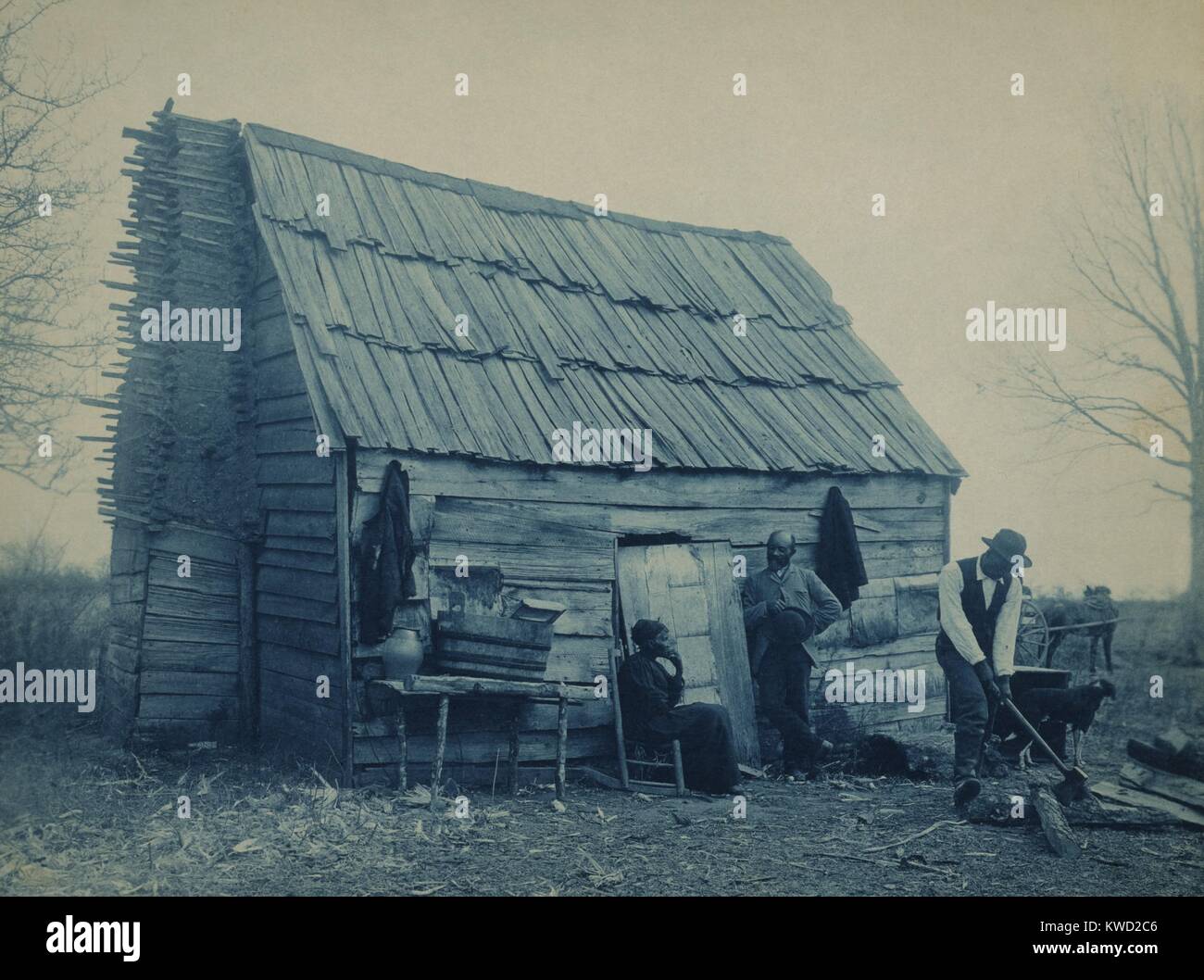 African American man chops wood outside a cabin, presumably the home of the middle aged couple nearby. The tree is bear of leaves, and fire wood will be needed. 1899-1900 photo by Frances Benjamin Johnston, 1899-1900, who photographed southern architecture, African Americans, and Native Americans at the turn of the 20th century  (BSLOC 2017 20 127) Stock Photo