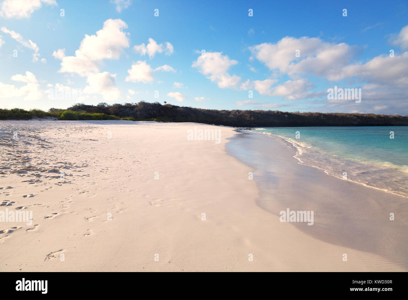 Gardner Bay beach, Espanola Island, ( Hood Island ), Galapagos Islands