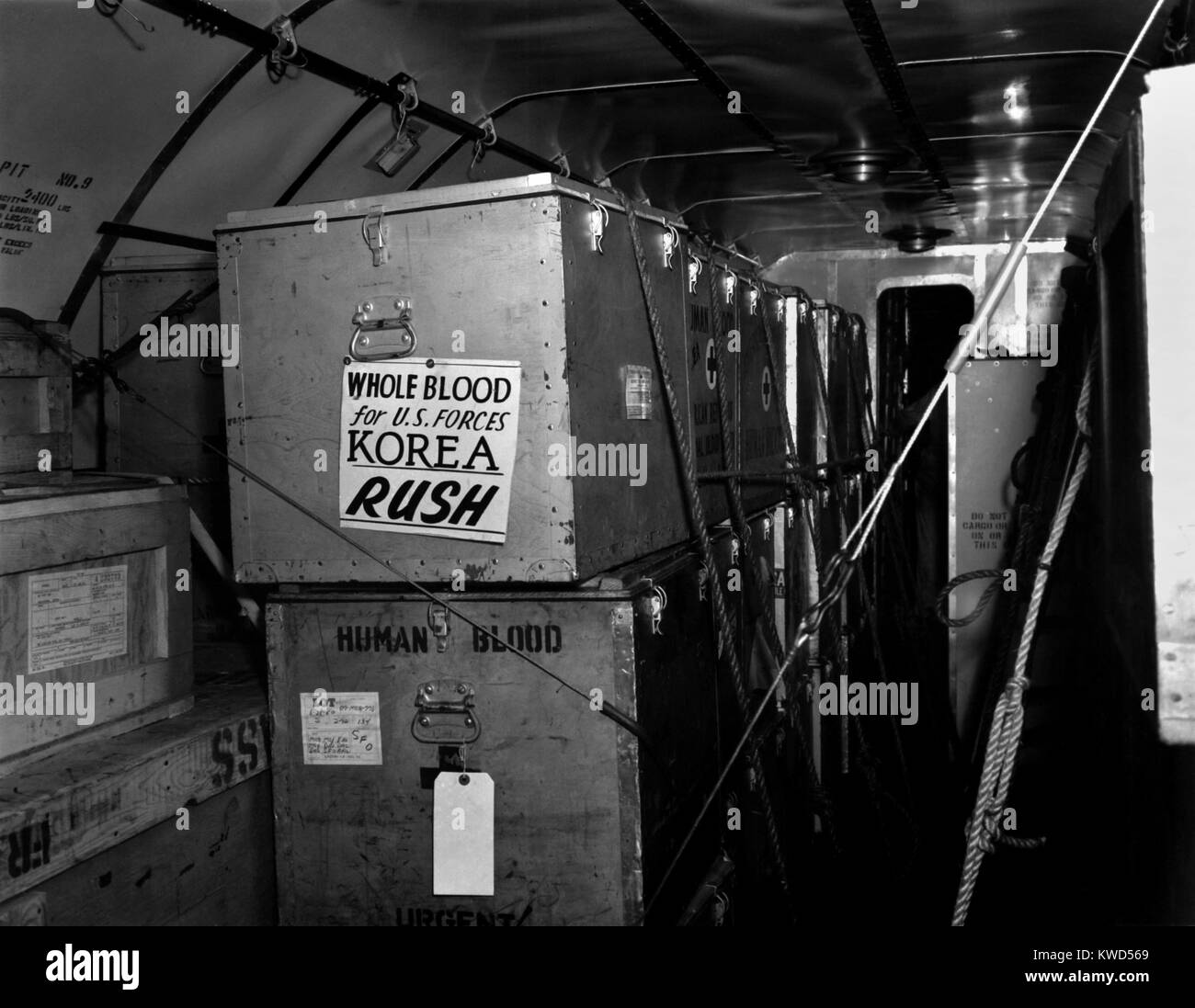 Air shipments of whole blood from American Red Cross for Korean War casualties. It will be stored in Yokohoma, for shipment to Korea as needed. Korean War, 1950-53. (BSLOC_2014_11_205) Stock Photo