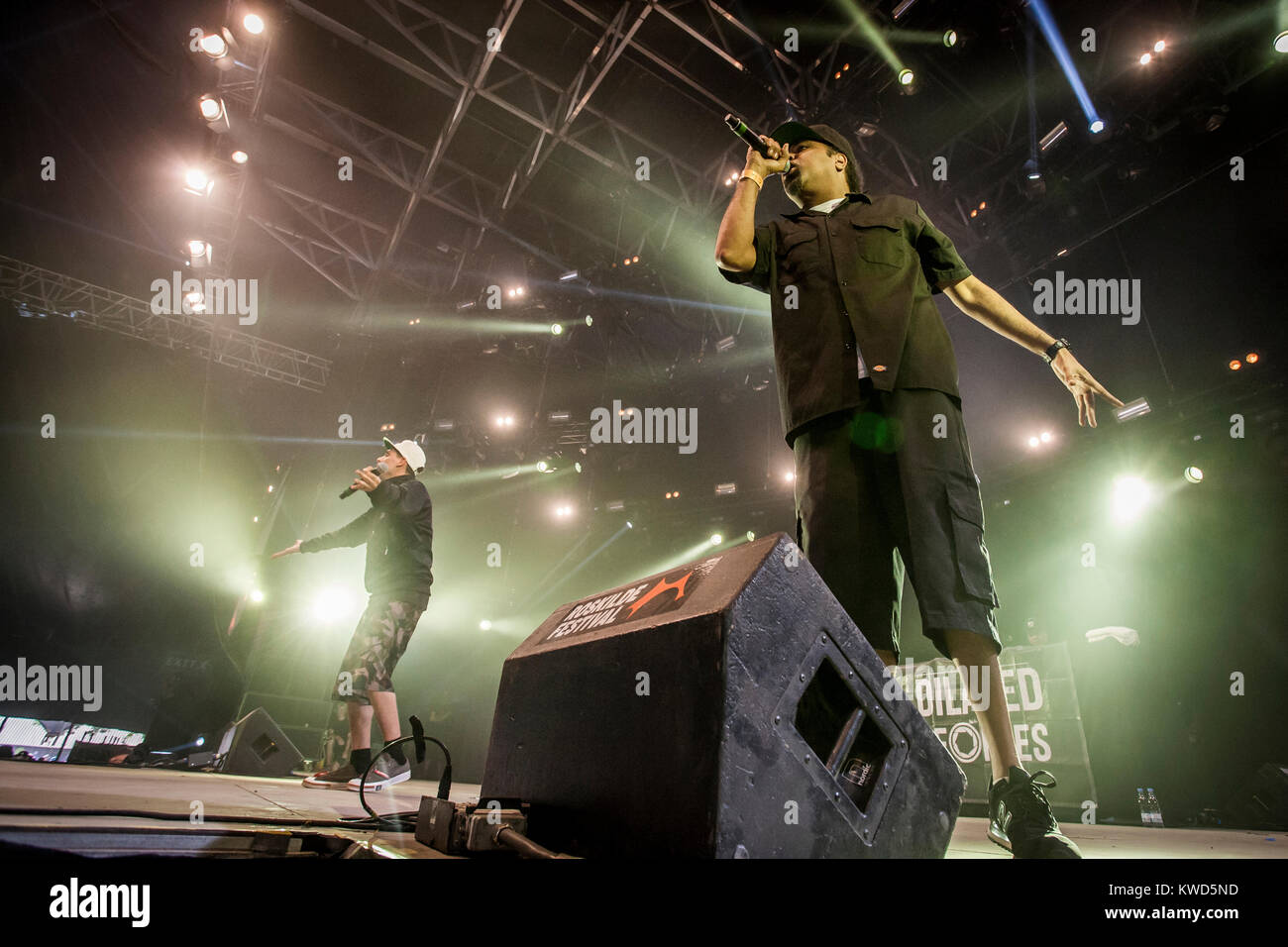 The American hip hop group Dilated Peoples performs a live concert at