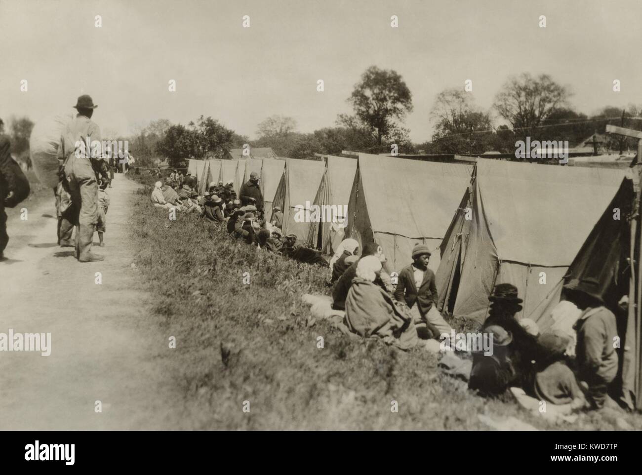 Levee at Greenville, Mississippi, where African Americans sit by tents