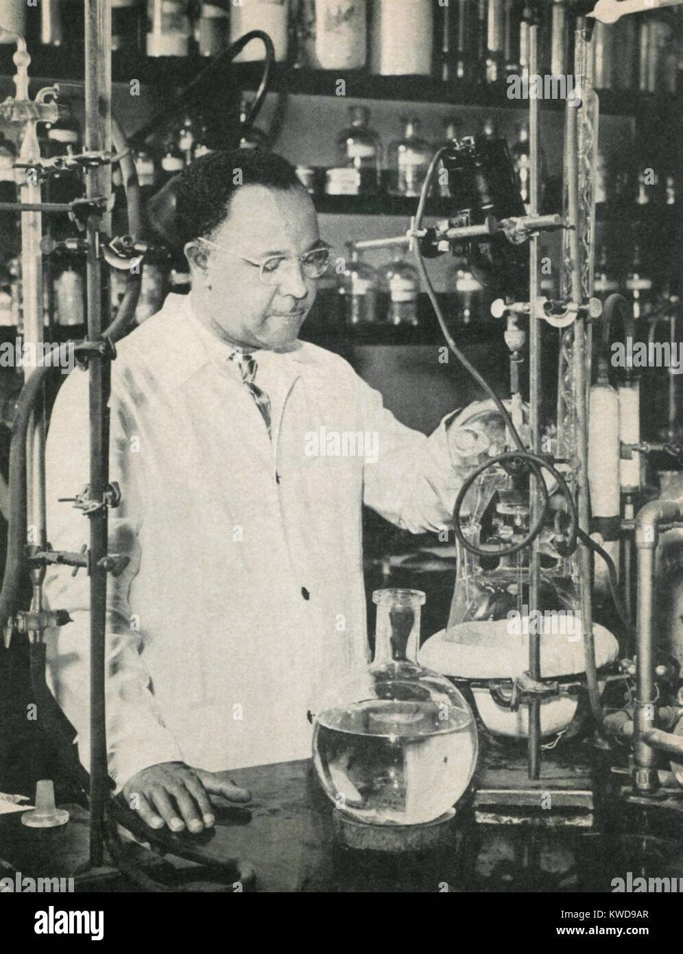 Percy Julian, African American chemist, c. 1940s. At the Glidden Company, he designed methods for extracting soy protein on an industrial scale. In the 1940s he developed processes for large scale manufacture of synthetic human hormones for medical use (BSLOC 2016 10 12) Stock Photo