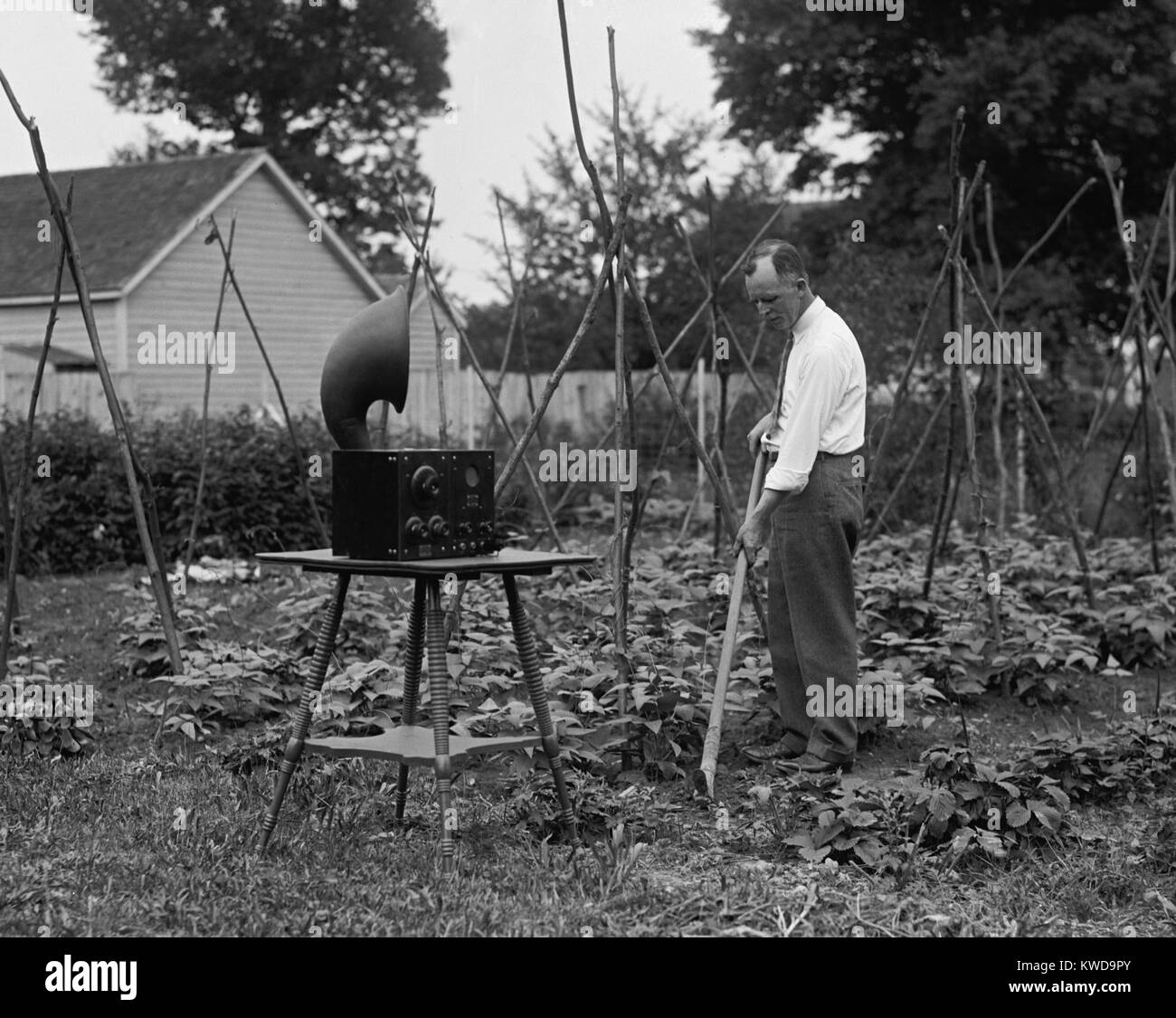 W.D. Terrell gardening with a radio nearby, July 7, 1926. Terrell was Chief Supervisor of Radio, Department of Commerce, which enforced government regulations licensing and assigning radio frequencies of broadcasters. He was the traffic officer of the air, overseeing amateur, commercial, and broadcasting stations of the U.S. (BSLOC 2016 10 55) Stock Photo