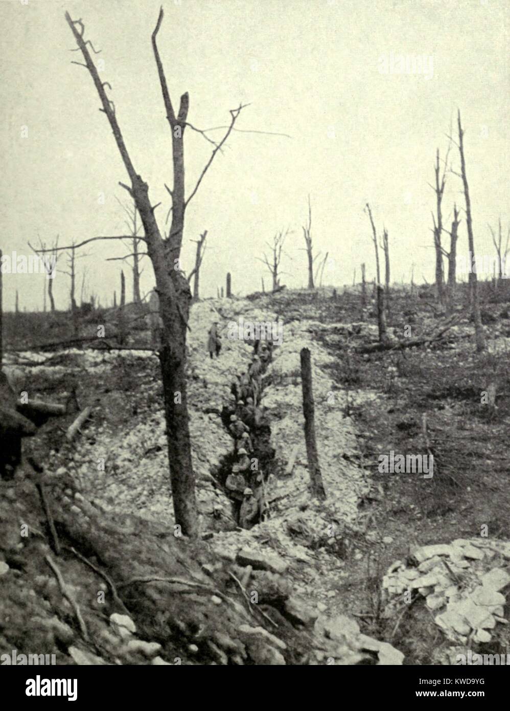 World War 1: Battle of Verdun. Entrenched French troops of the Mangin Division in the recaptured but blasted Caillette Wood. June 1916. (BSLOC 2013 1 103) Stock Photo