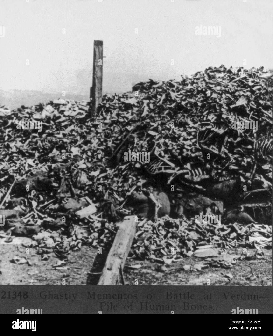 World War 1: Battle of Verdun. Human bones were the ghastly mementos of battle at Verdun. After the war, the Douaumont Ossuary was built to memorialize and contain the bones of 130,000 French and German unknown dead from the Verdun battlefield. Ca. 1919. (BSLOC 2013 1 108) Stock Photo