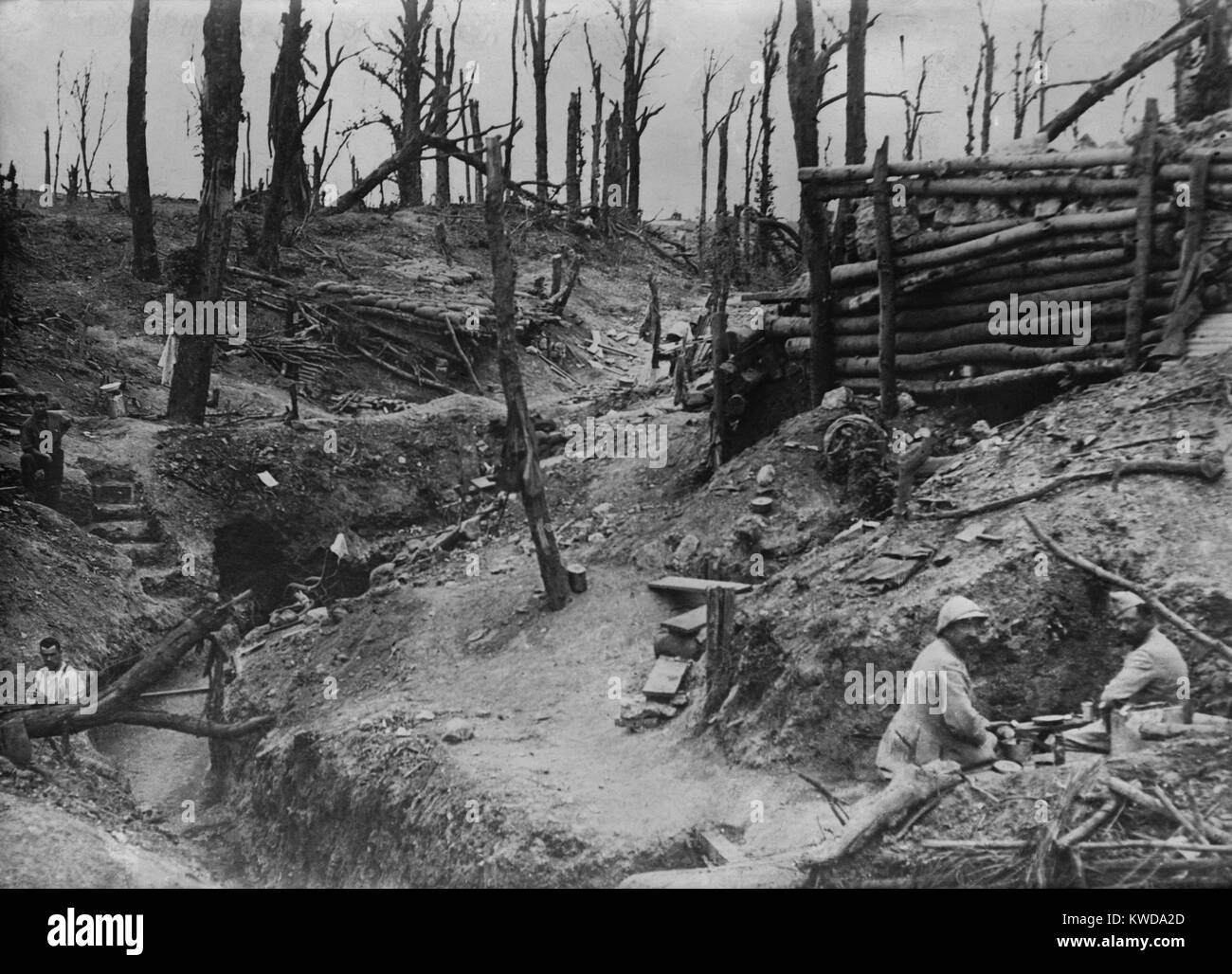 World War 1. Somme Offensive. A few Allied soldiers (probably French) soldiers occupy entrenchments and dugout bunkers in the shell blasted wood called Des Fermes in the Somme. Ca. 1916. (BSLOC 2013 1 134) Stock Photo