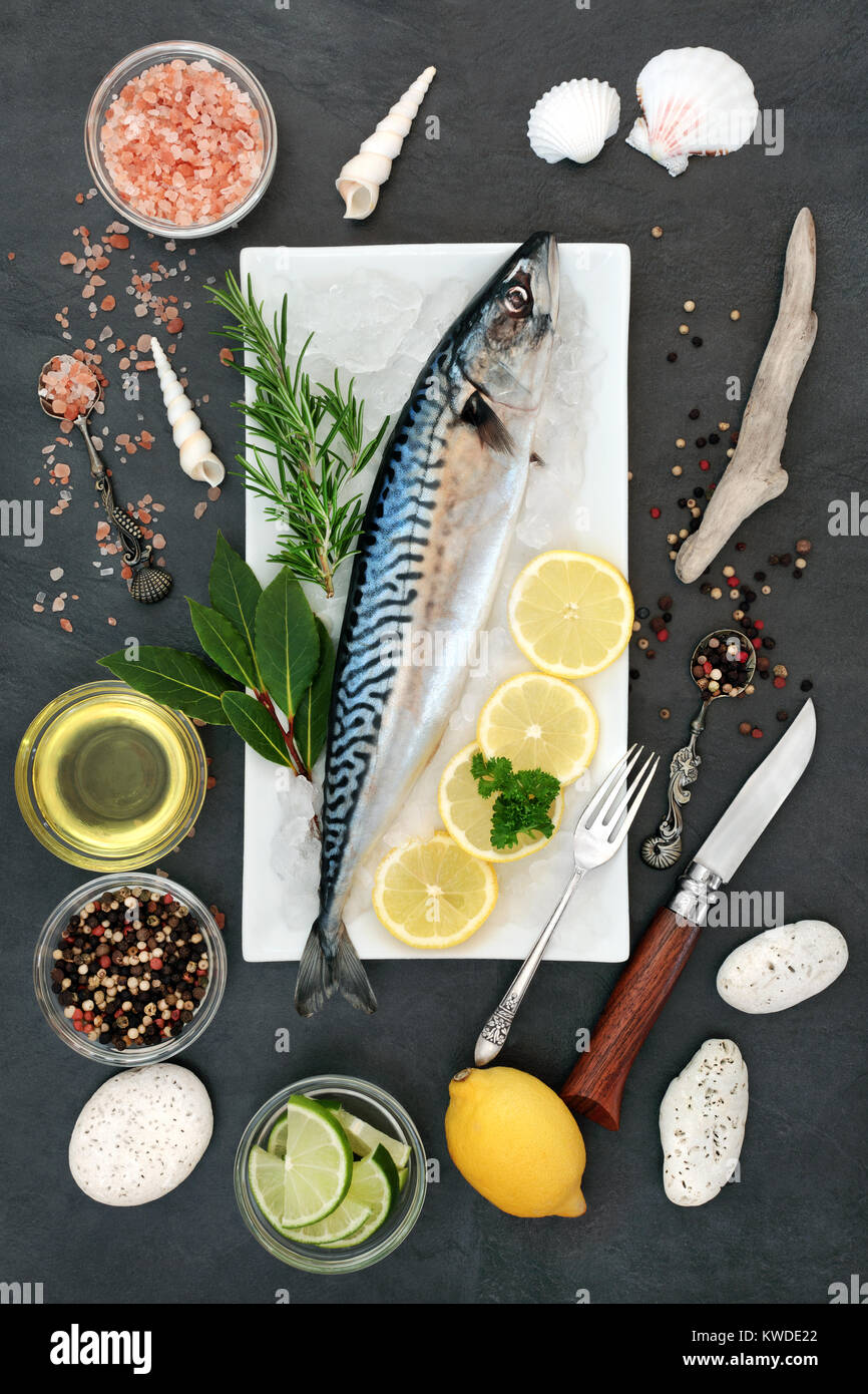Mackerel fresh fish health food on crushed ice with herbs, peppercorns, olive oil, himalayan