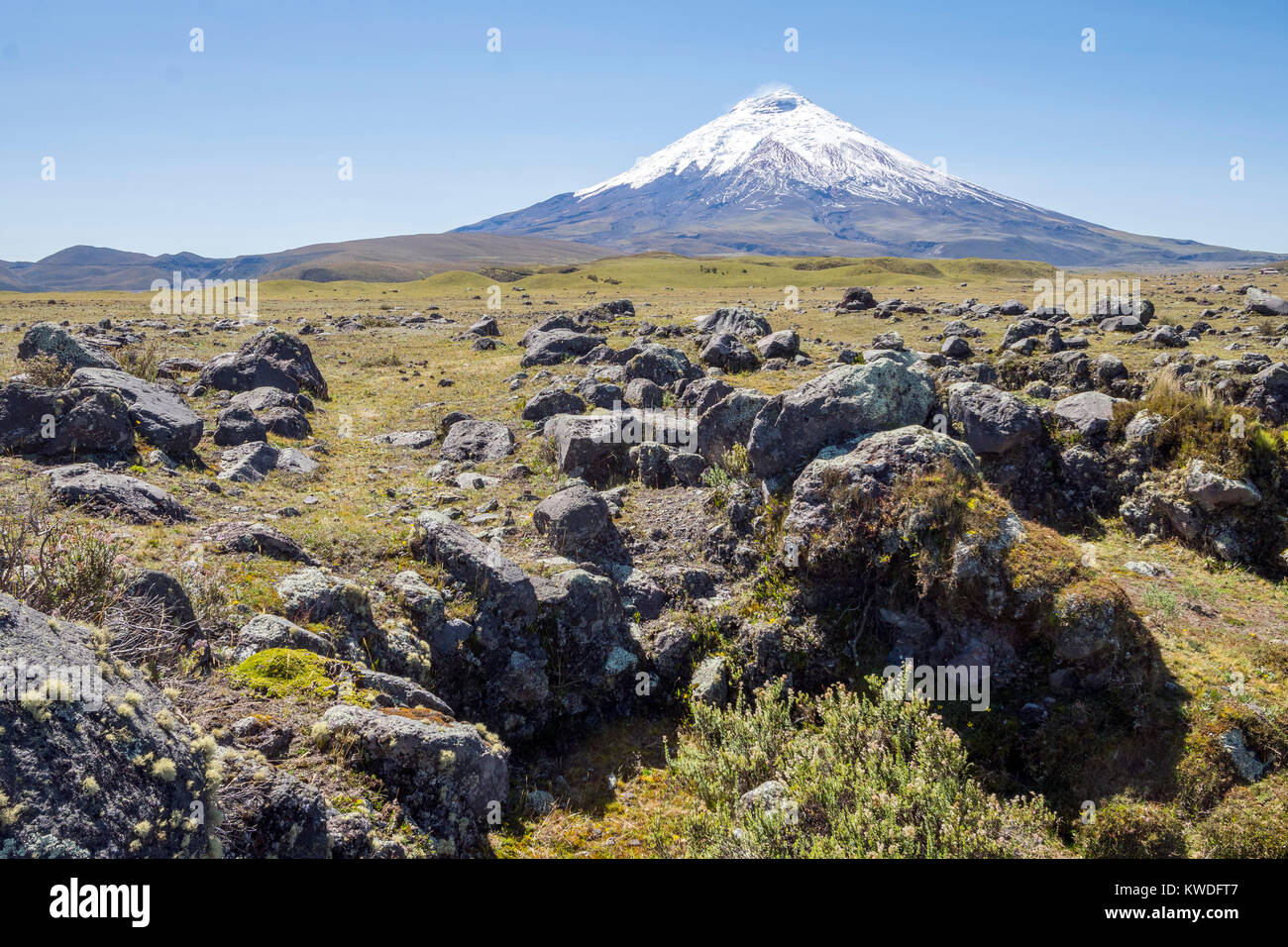 Cotopaxi Volcano, Ecuador with lichen covered boulders thrown out from past eruptions in the foreground. One of the world's highest active volcanoes a Stock Photo