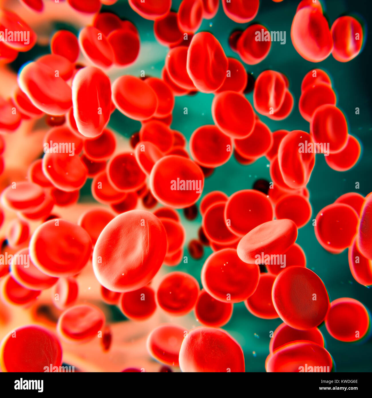 Red blood cells sample smear, floating in plasma, microscopy stylized, 3d illustration Stock Photo