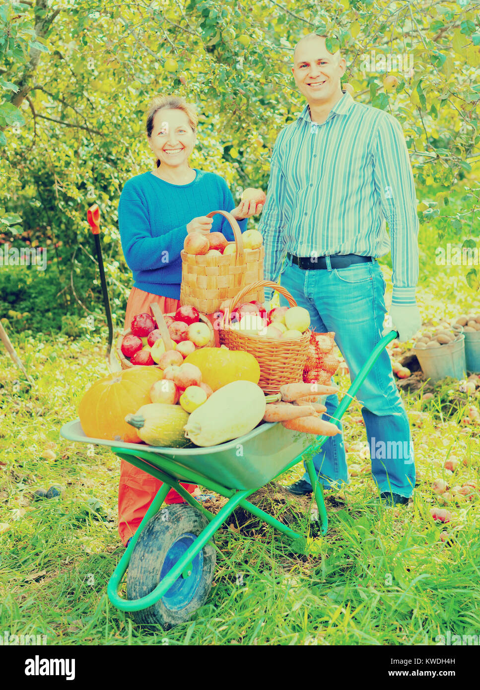 Man and woman with crop of vegetables in garden Stock Photo