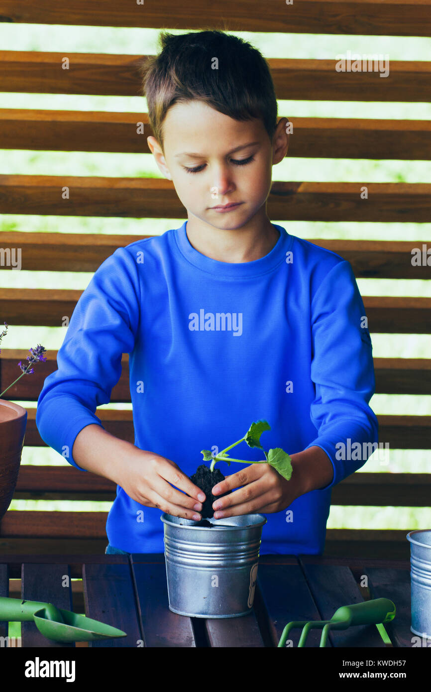 Little cute boy planting green plant in hands Stock Photo