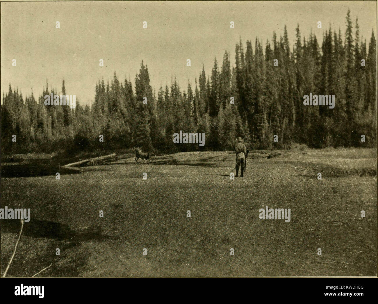 'The wilderness of the upper Yukon; a hunter's explorations for wild sheep in sub-arctic mountains' (1919) Stock Photo
