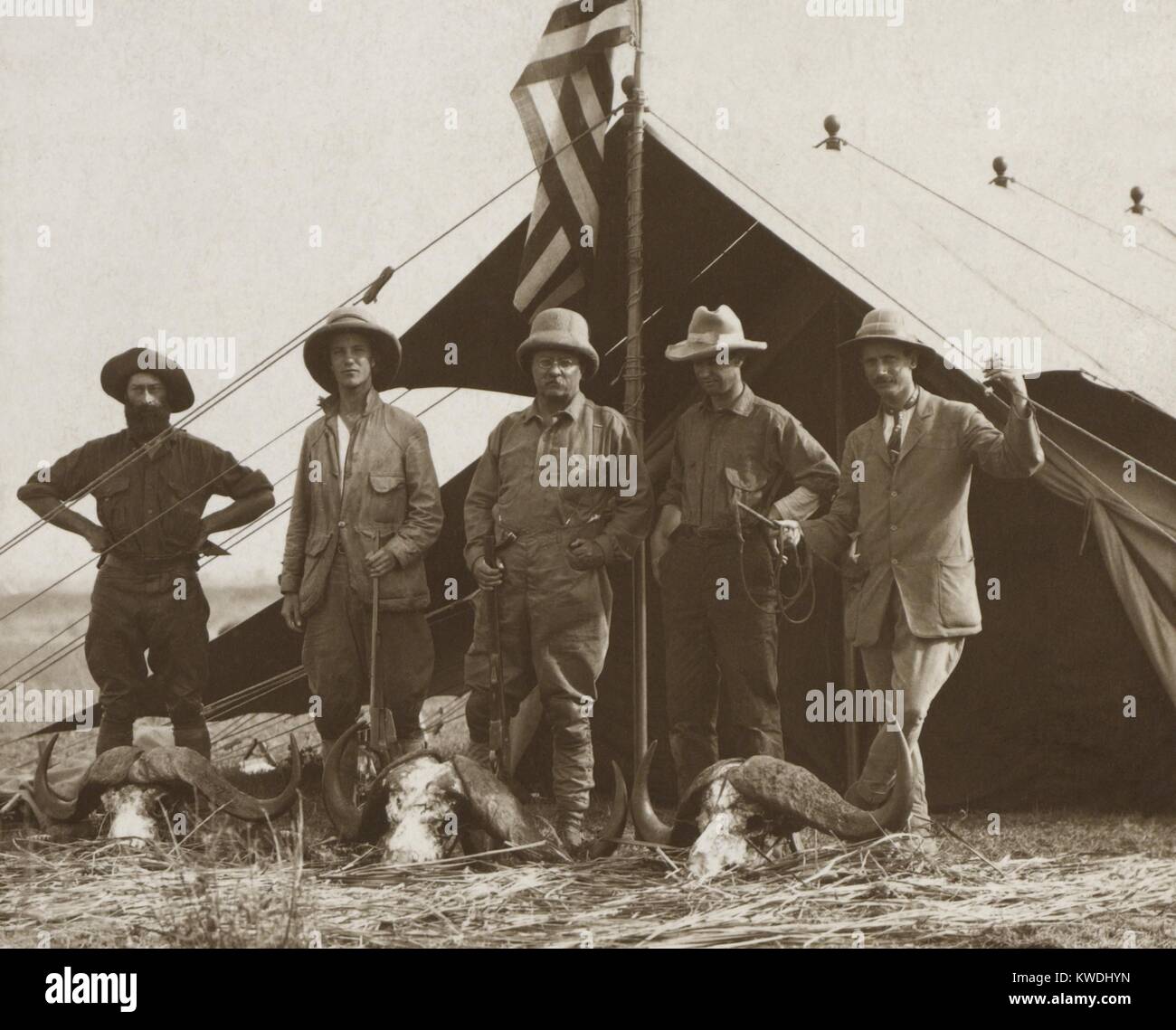 Members of Theodore Roosevelts safari stands behind African buffalo skulls. Standing in front of a tent, L-R: R. J. Cunninghame, Kermit Roosevelt, Theodore Roosevelt, Edmund Heller, and Hugh H. Heatley. Smithsonian-Roosevelt African Expedition, July 1909-Feb. 1910 (BSLOC 2017 8 14) Stock Photo