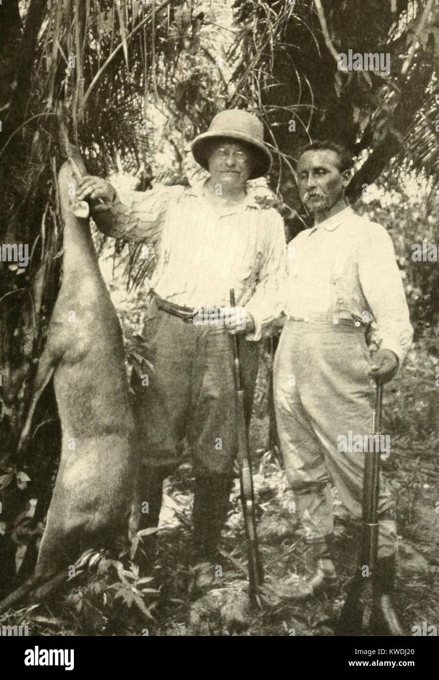 Colonels Roosevelt and Rondon with bush deer they have killed to supply the expedition with food. Jan.-Feb. 1914. The Brazilian state of Rondonia is named for his humanitarian protection of Brazils indigenous peoples (BSLOC 2017 8 60) Stock Photo