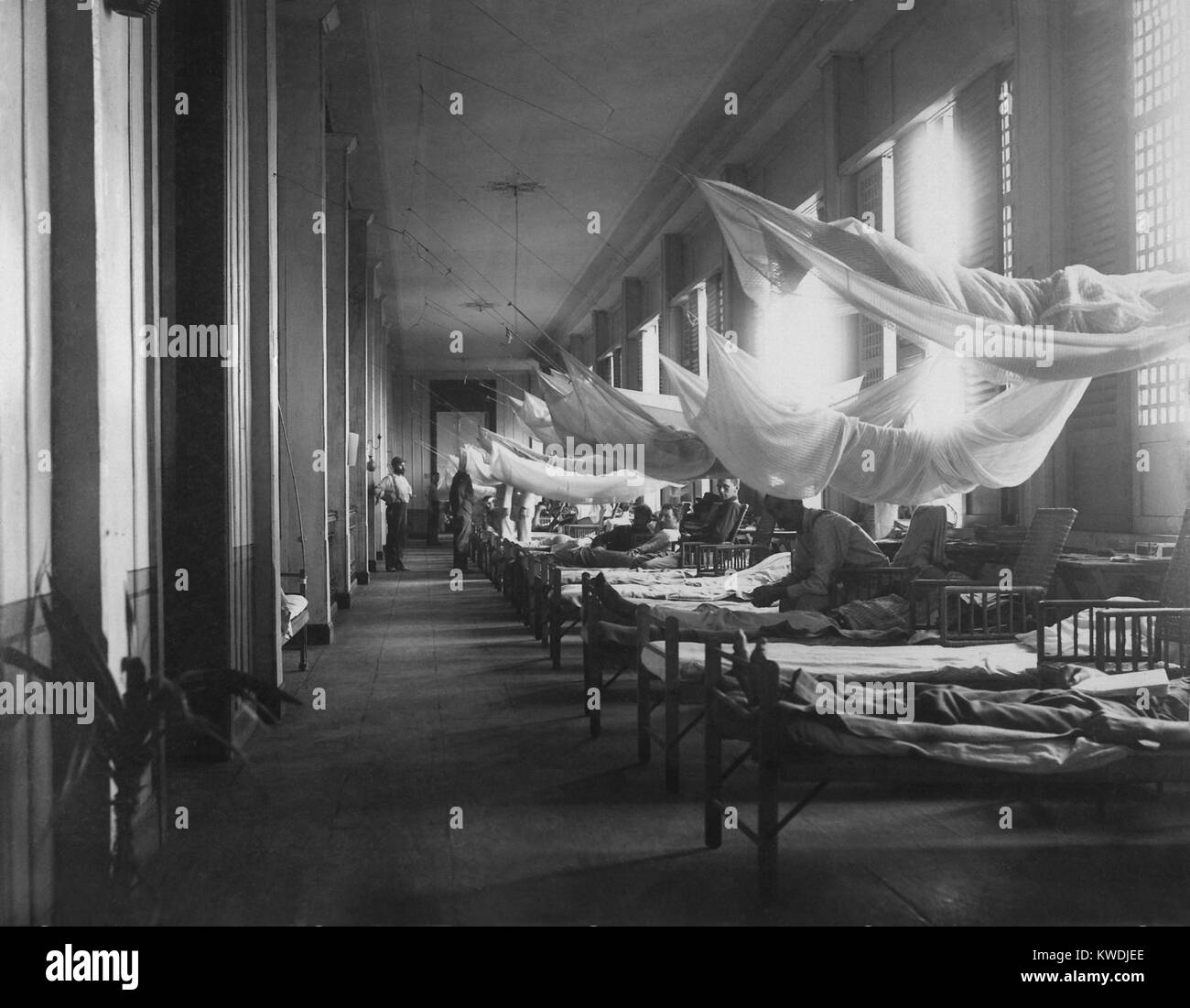American soldiers in a ward of the 2nd Reserve Hospital, Philippines. Of the 4,200 American fatalities in the Philippine-American War, the majority were a result of disease (BSLOC 2017 10 86) Stock Photo