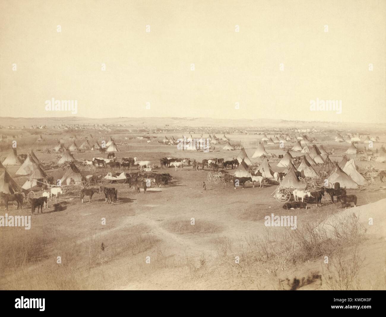 Hostile Indian camp of tipis, horses, and wagons on Pine Ridge Indian Reservation in Jan. 1891. They were considered hostiles because they joined the Ghost Dance Movement, resisted white indoctrination and culture. They only reluctantly followed orders to come into the Pine Ridge Agency, in late 1890, before the Wounded Knee Massacre. Photo by John Grabill, Jan. 1891 (BSLOC 2017 18 13) Stock Photo