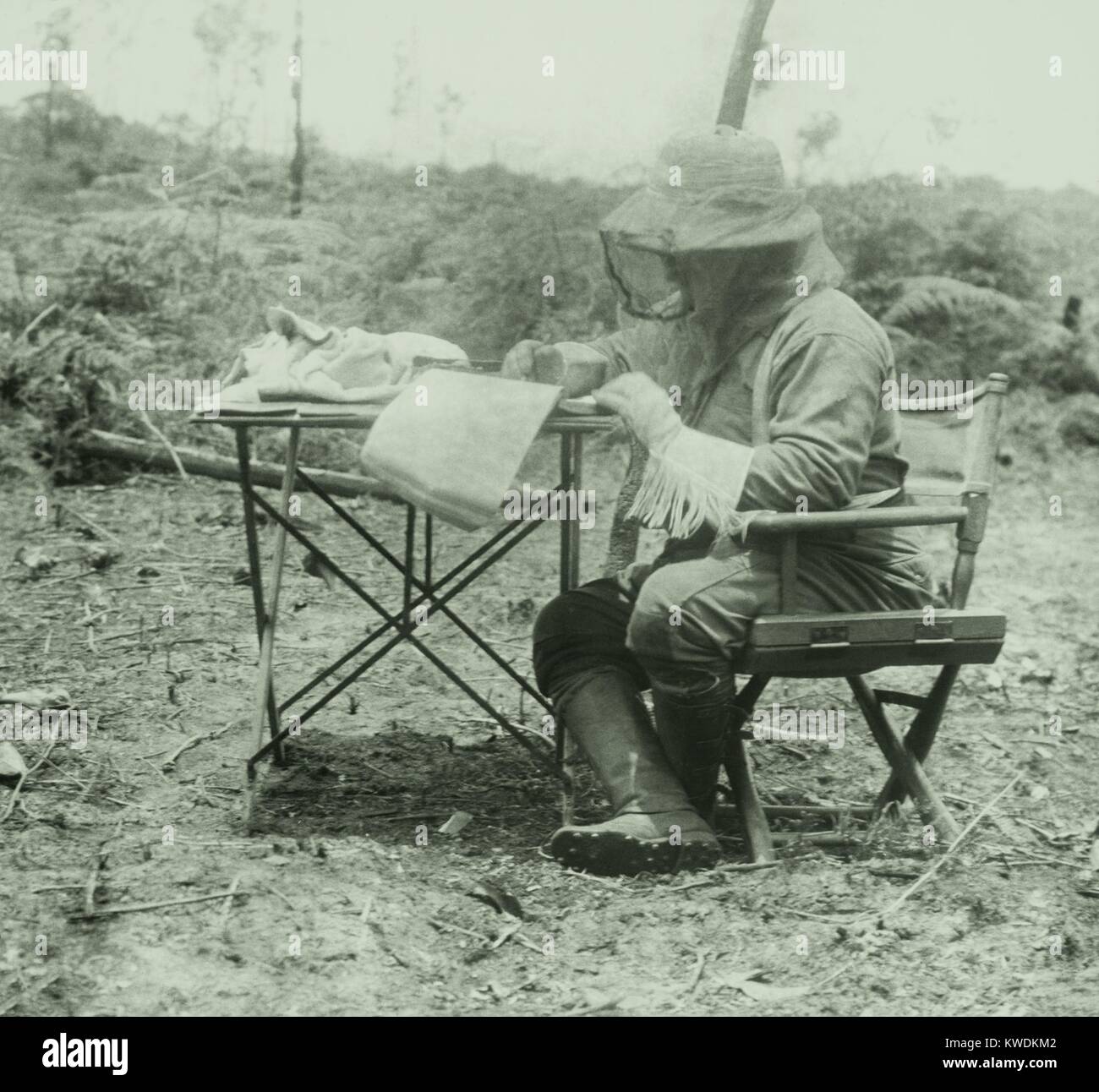 Theodore Roosevelt did his writing in a head net and gloves. He signed a $15,000 book contract to write a book about his adventure. Through the Brazilian Wilderness was published in 1914 (BSLOC 2017 8 58) Stock Photo