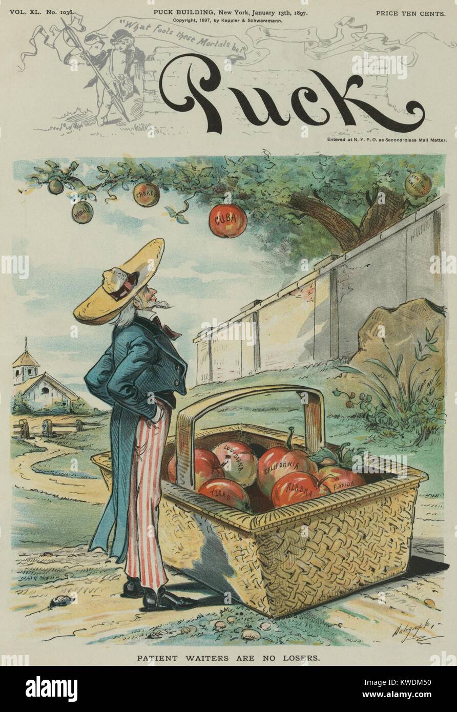 PATIENT WAITER ARE NO LOSERS, political cartoon from Puck Magazine, Jan. 13, 1897. Uncle Sam waits beneath an apple tree wearing a sombrero, where apples are labeled Hawaii, Canada, Cuba, and Central America. Sam already has apples labeled Louisiana, Texas, California, Alaska, and Florida in his gathering basket (BSLOC 2017 10 8) Stock Photo