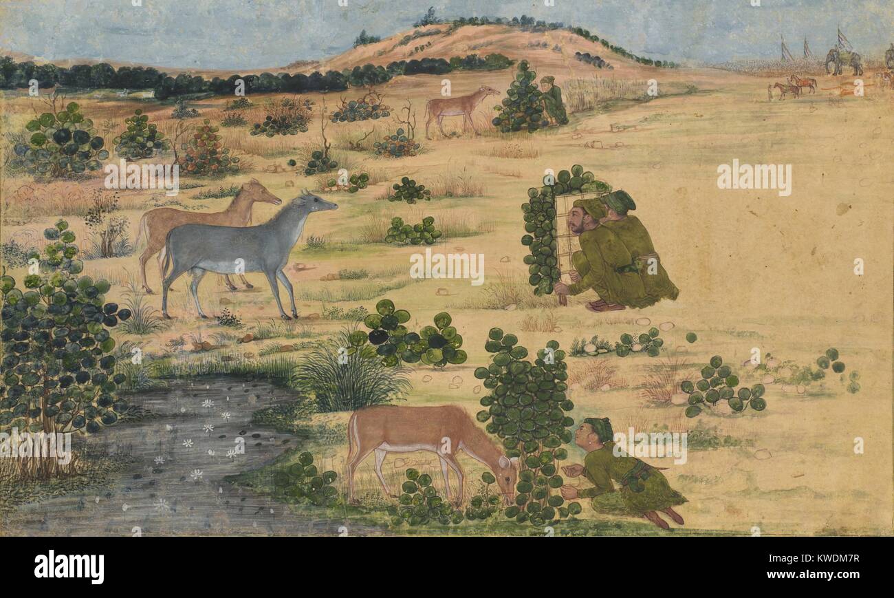 PREPARATIONS FOR A HUNT, Indian, 1670-80s, painting, opaque watercolor on paper. Four imperial huntsmen shelter behind screens as four nilgais, Indian blue bulls, graze nearby. At upper right, a royal hunting party approaches with elephants, horses, and flags (BSLOC 2017 16 21) Stock Photo