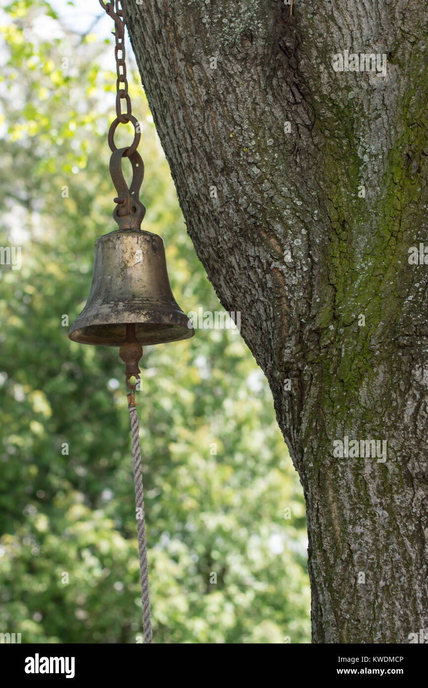 Summer bell tree hires stock photography and images Alamy