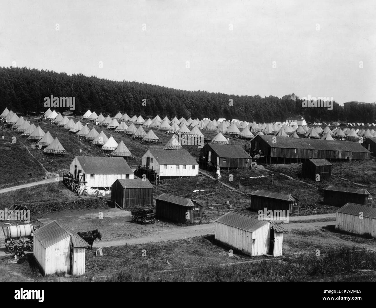 Refugee camp within the Presidio of San Francisco after the April 18, 1906 Earthquake and fire. 16,000 refugees were sheltered and fed at the Presidio. The 3,000 tents were arranged in orderly street-grid formation complete with numbers and directories (BSLOC 2017 17 37) Stock Photo