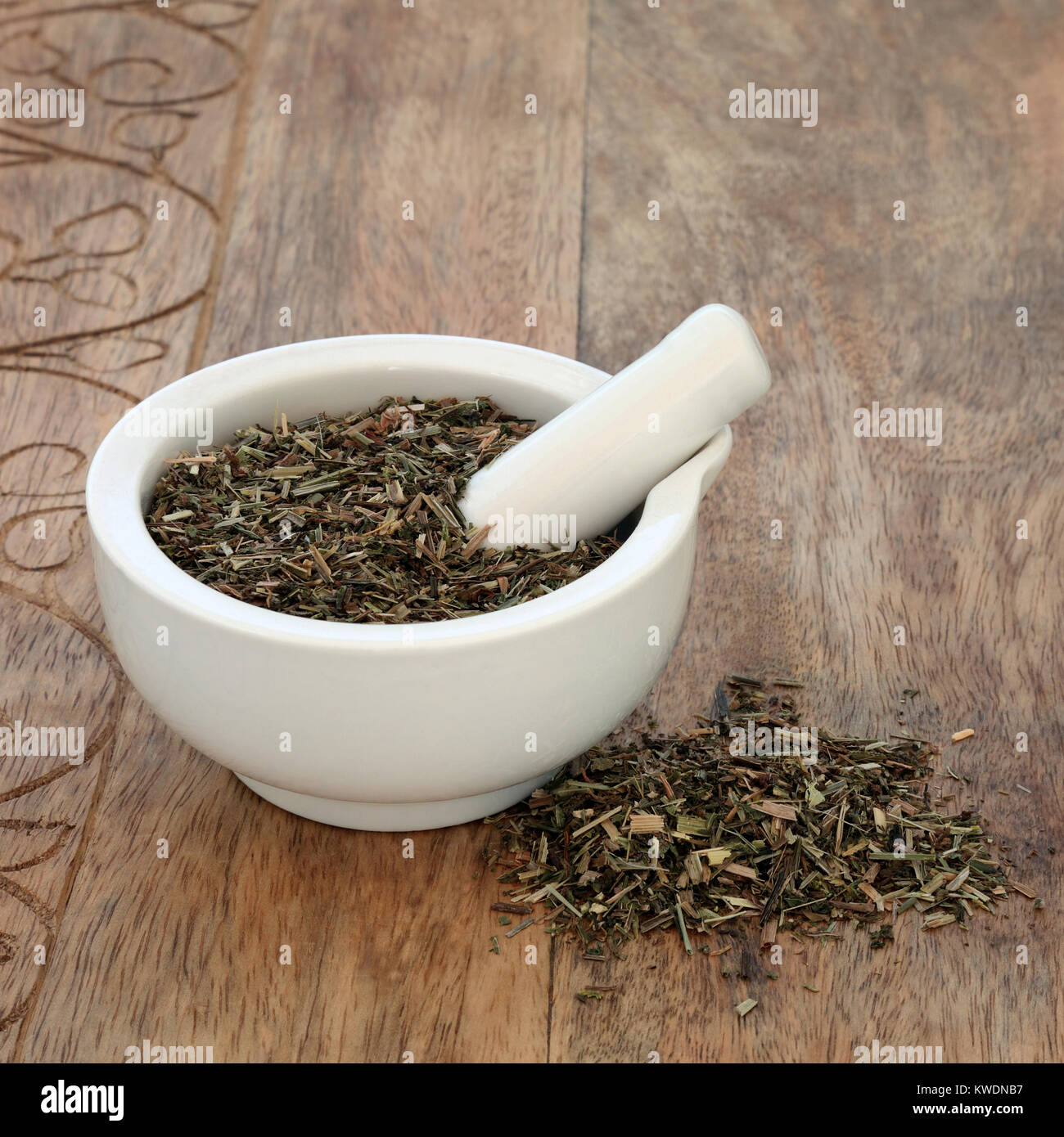 Cleavers leaf herb used in alternative herbal medicine to increase