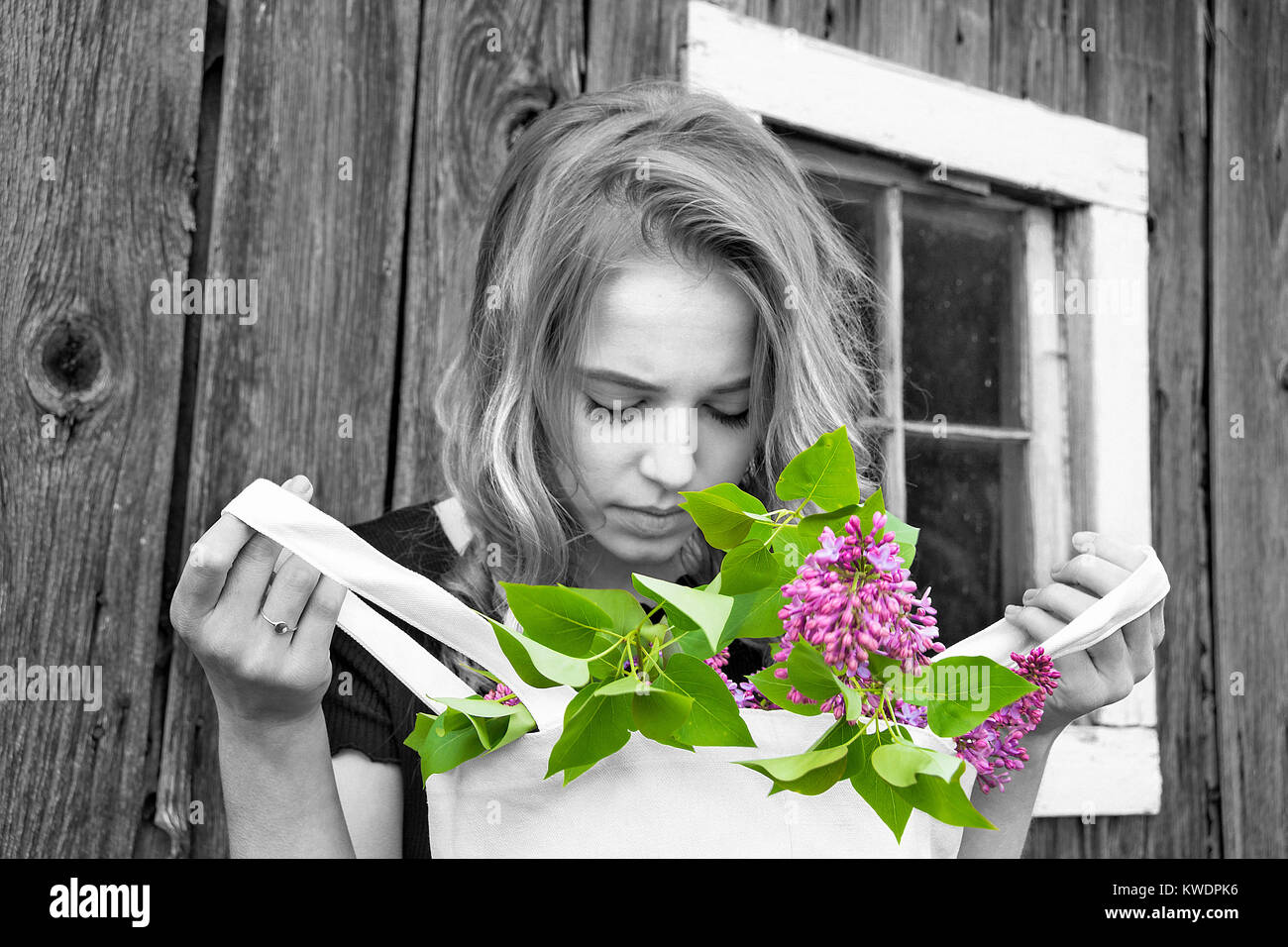 Caucasian teenage girl holding a bag of spring lilac blossoms by rustic barn in selective color effect Stock Photo