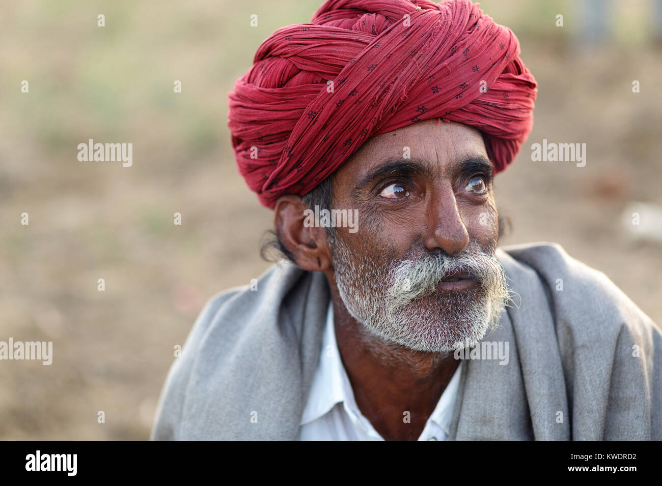 Rajasthani with red turban hi-res stock photography and images - Alamy