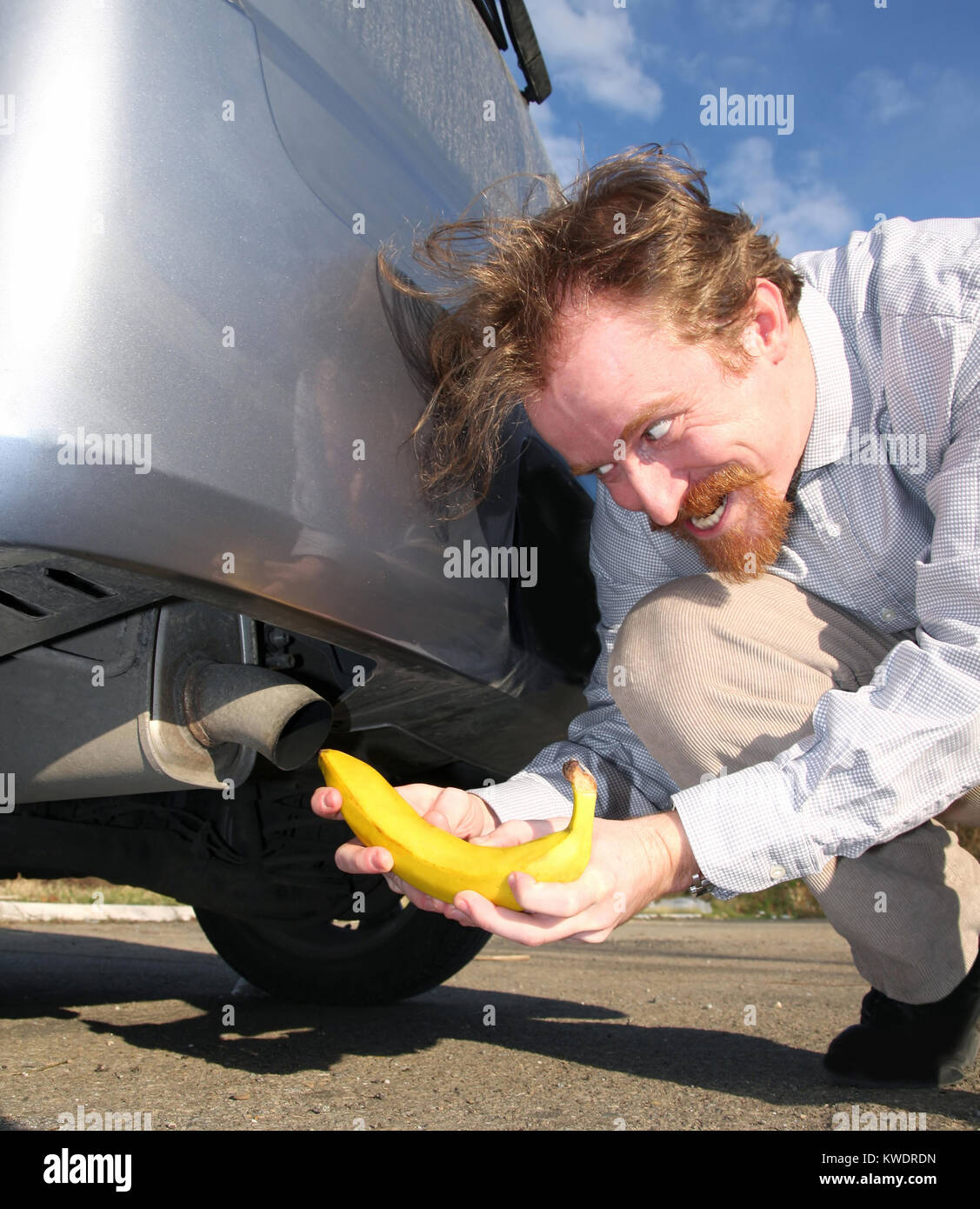 Man putting banana into car exhaust pipe Stock Photo Alamy